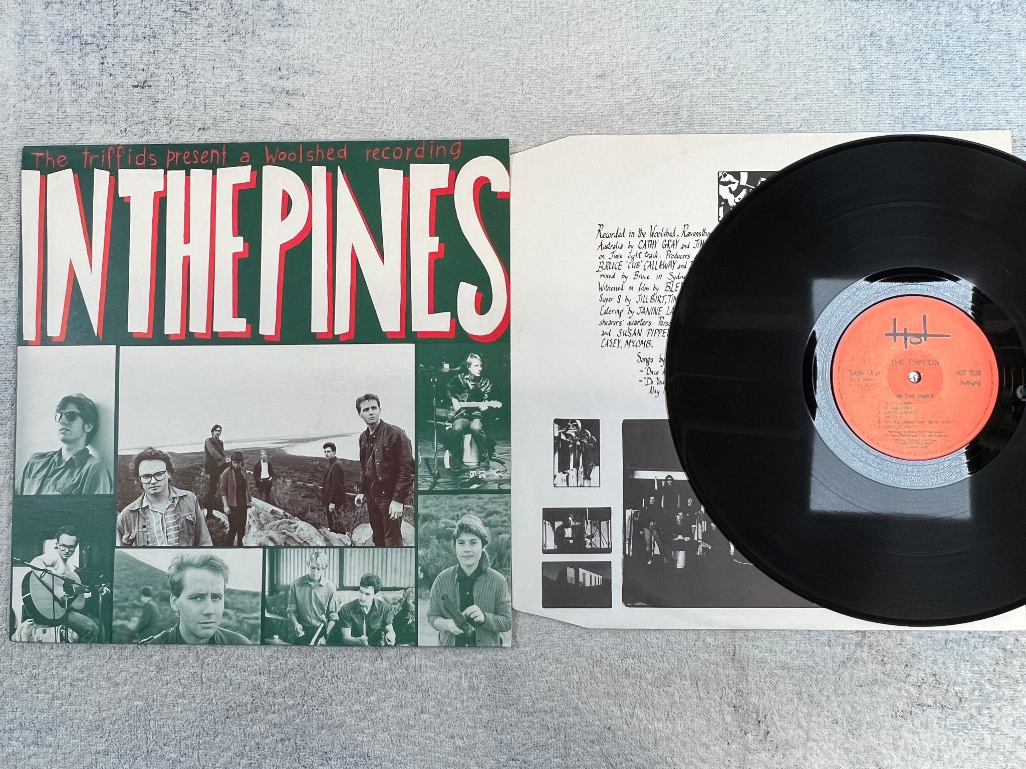 Omslagsbild för skivan THE TRIFFIDS in the pines LP -86 ncb HOT 1028