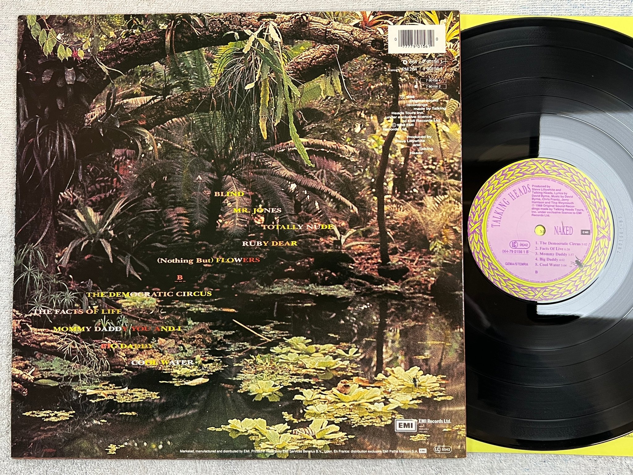 Omslagsbild för skivan TALKING HEADS naked LP -88 EMI 064-7901561