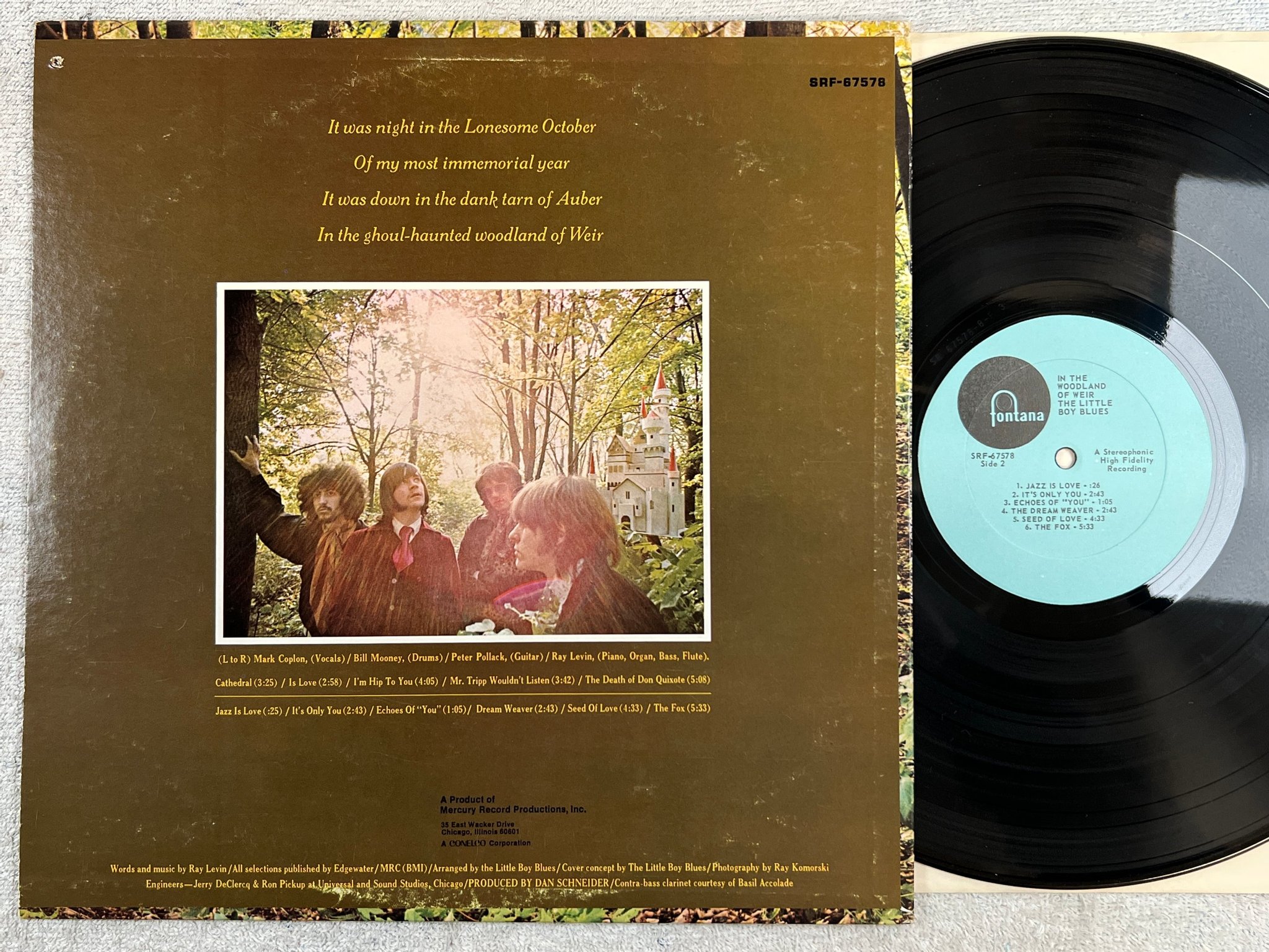 Omslagsbild för skivan IN THE WOODLAND OF WEIR the little boy blues LP US FONTANA SRF-67578