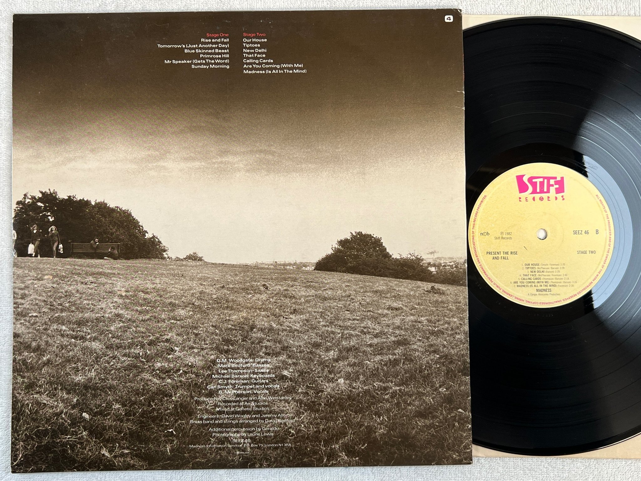 Omslagsbild för skivan MADNESS present the rise and fall LP -82 ncb STIFF SEEZ 46