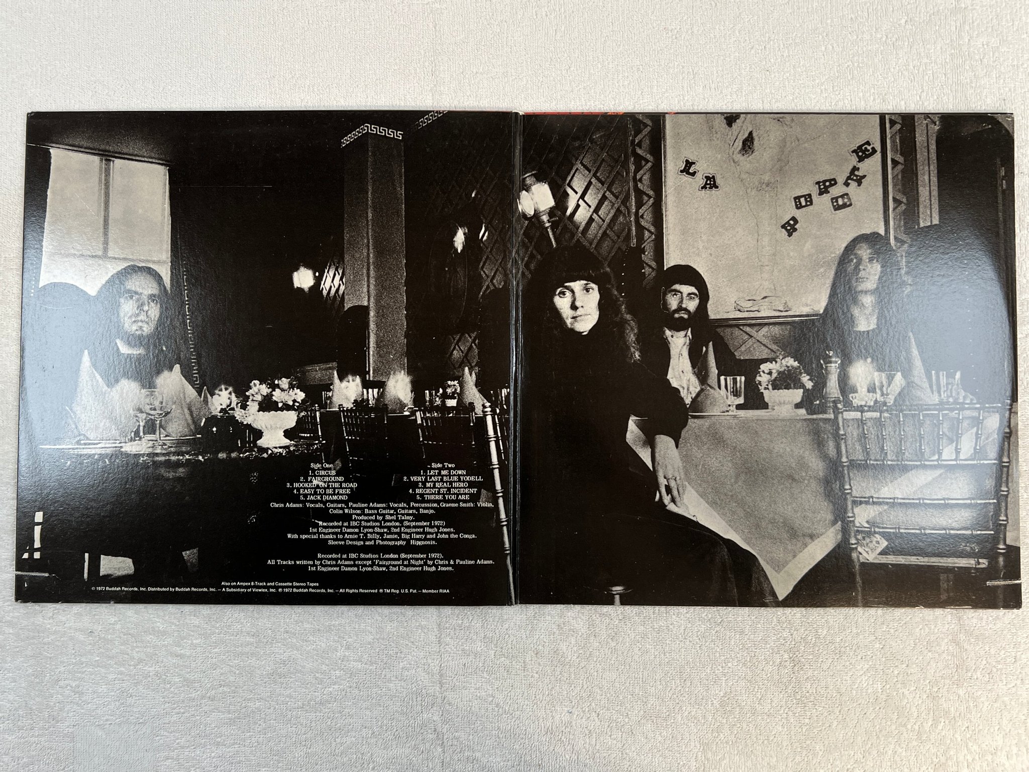 Omslagsbild för skivan STRING DRIVEN THING s/t LP -72 US FAMOUS CHARISMA CAS-1062