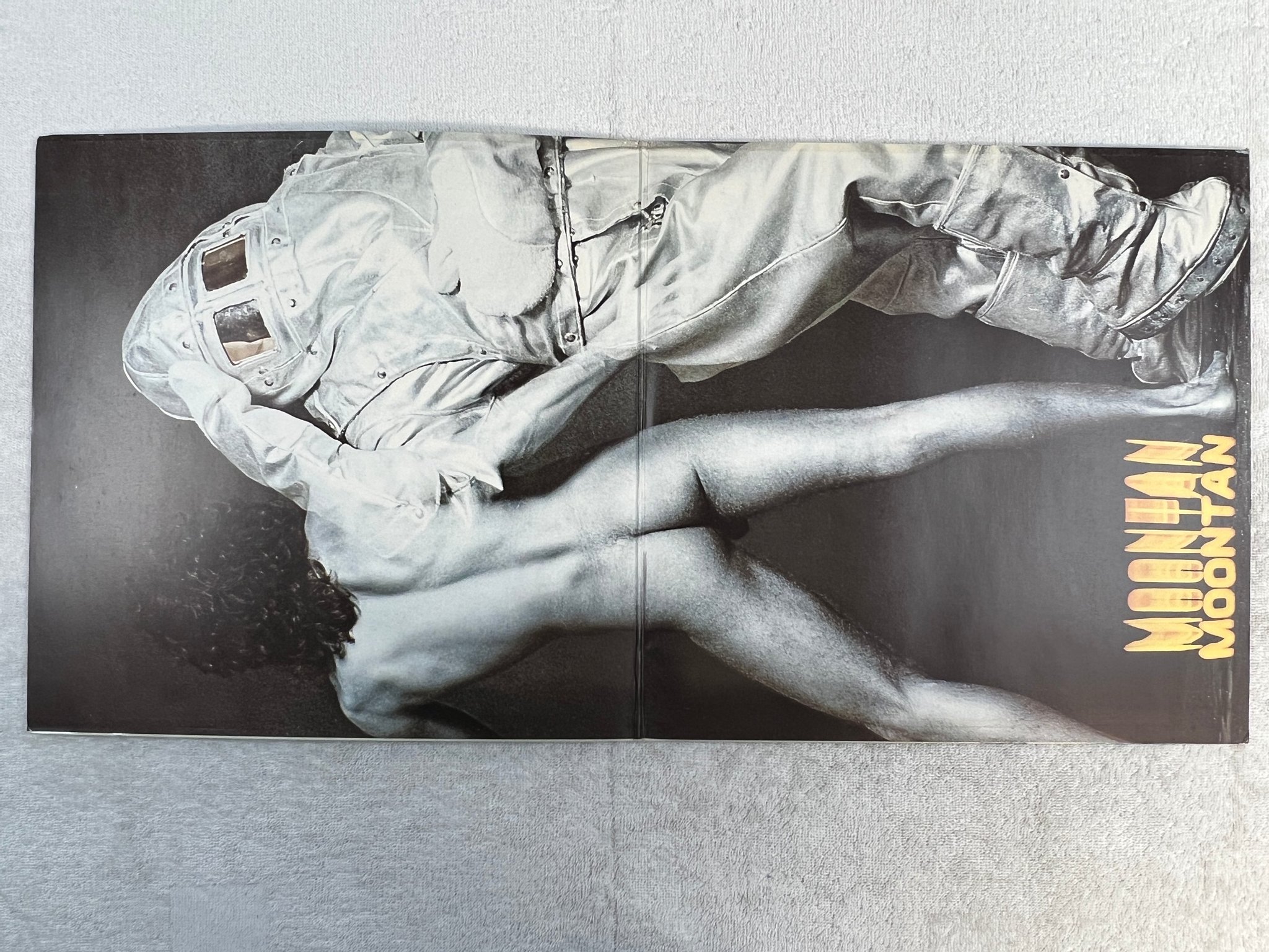 Omslagsbild för skivan GOLDEN EARRING moontan LP -73 Ger POLYDOR 2310 288