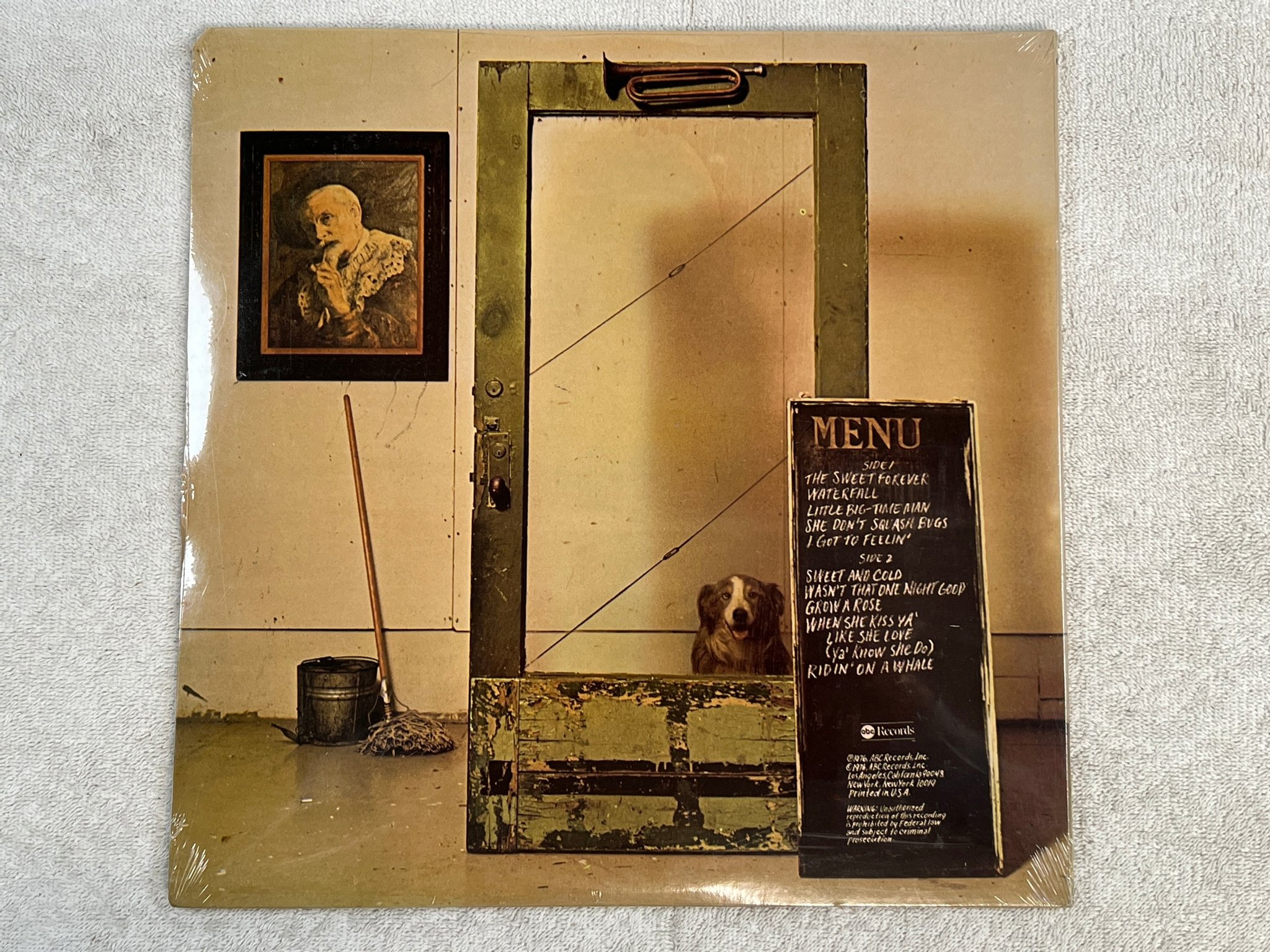 Omslagsbild för skivan DIRK HAMILTON you can sing on the left LP -76 US ABCD 920 sealed