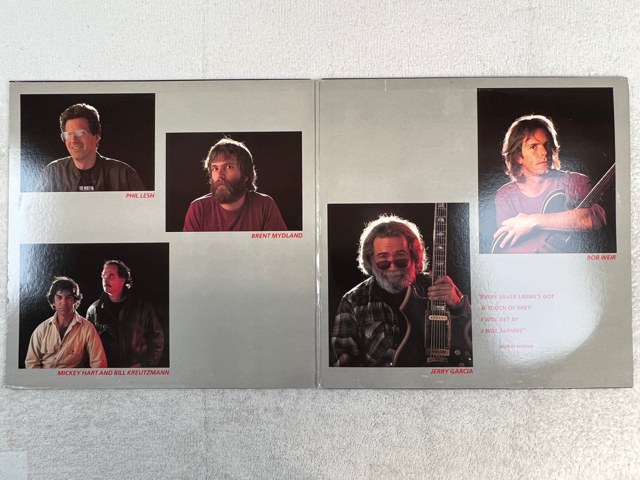 Omslagsbild för skivan GRATEFUL DEAD in the dark LP -87 US ARISTA AL-8452