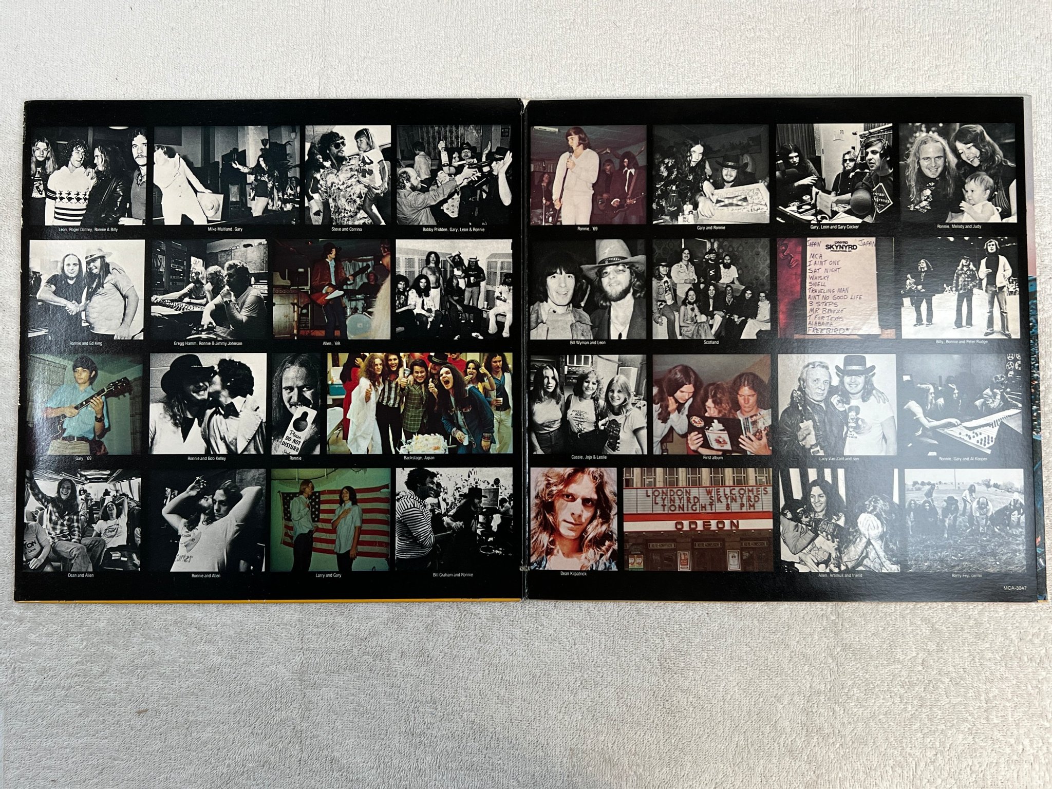 Omslagsbild för skivan LYNARD SKYNYRD first and…last LP -78 MCA 3047