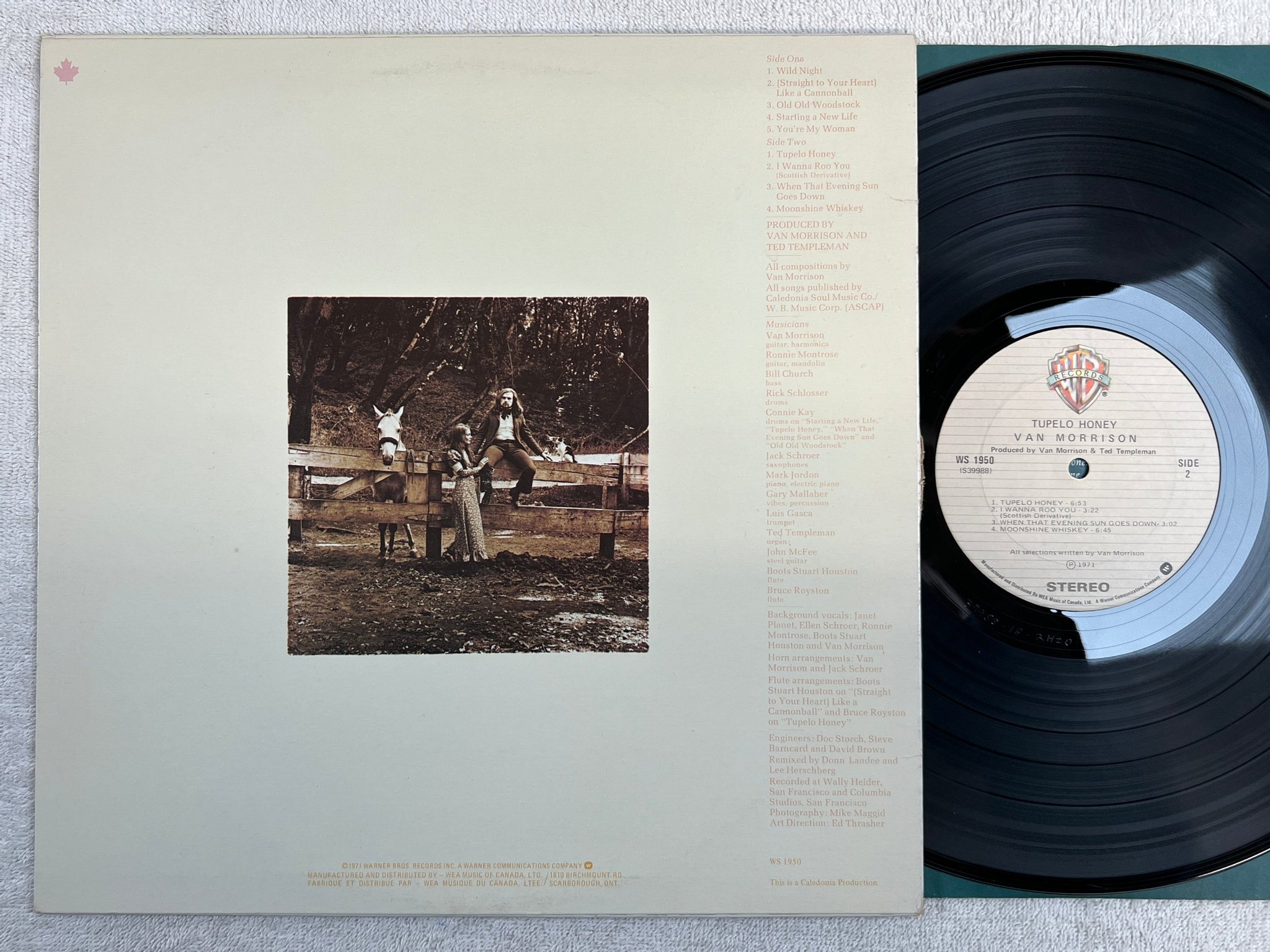 Omslagsbild för skivan VAN MORRISON tupelo honey LP re Can WARNER WS 1950