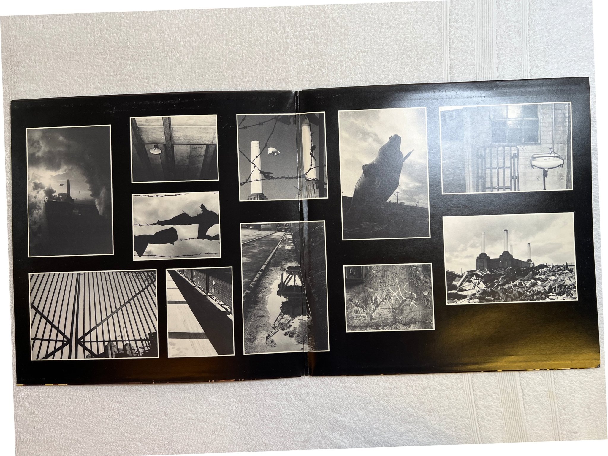 Omslagsbild för skivan PINK FLOYD animals LP -77 ncb HARVEST 7C 064-98434