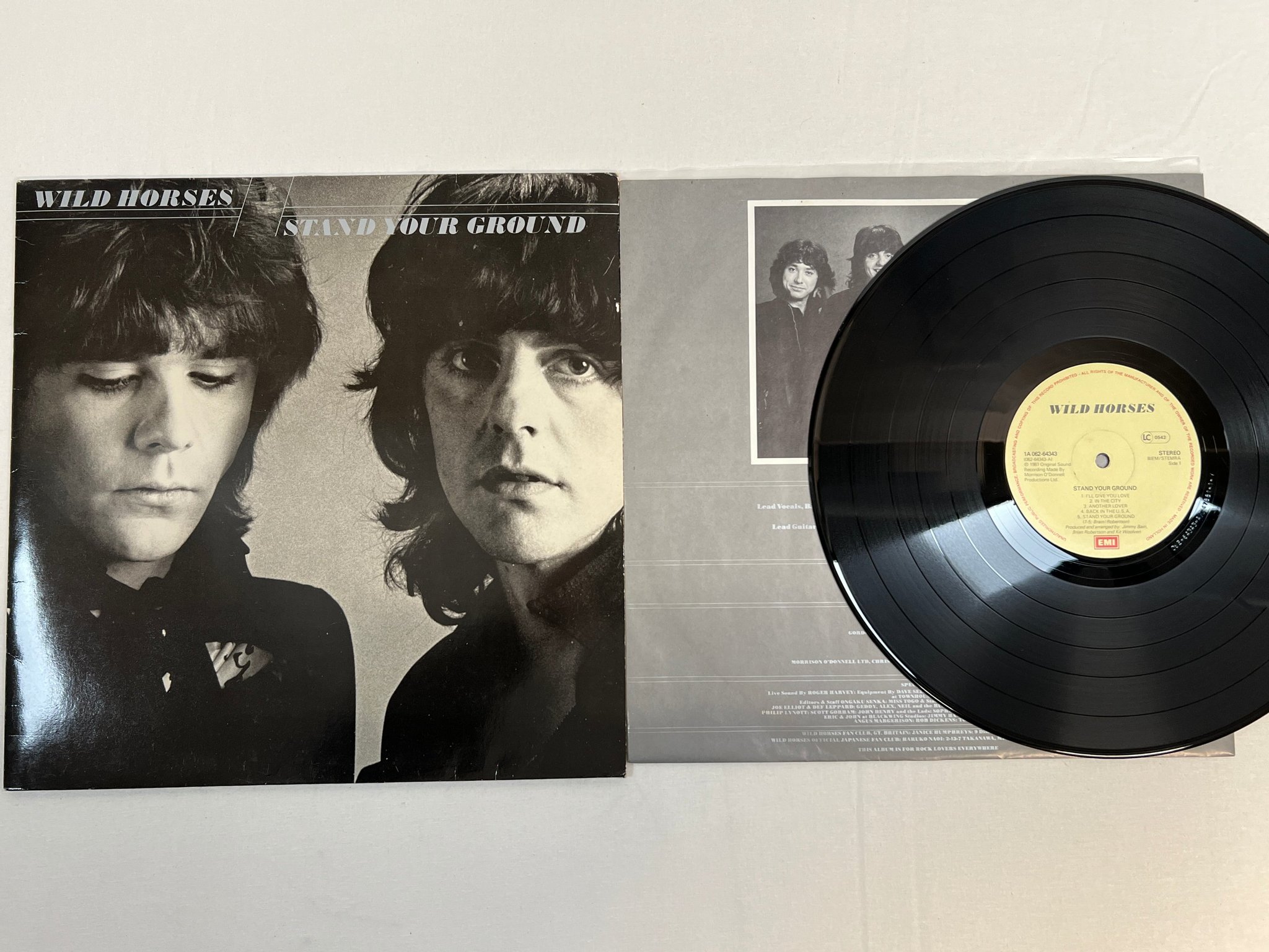 Omslagsbild för skivan WILD HORSES Stand Your Ground LP -81 HOL EMI 1a 062-64343