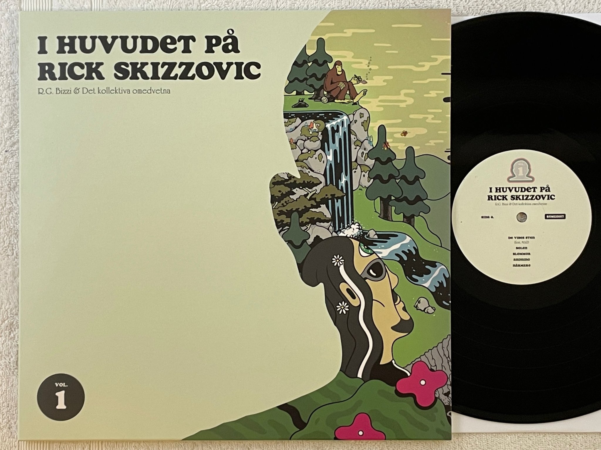Omslagsbild för skivan R.G. BIZZI & Det Kollektiva Omedvetna – I Huvudet På Rick Skizzovic Vol. 1 LP S9