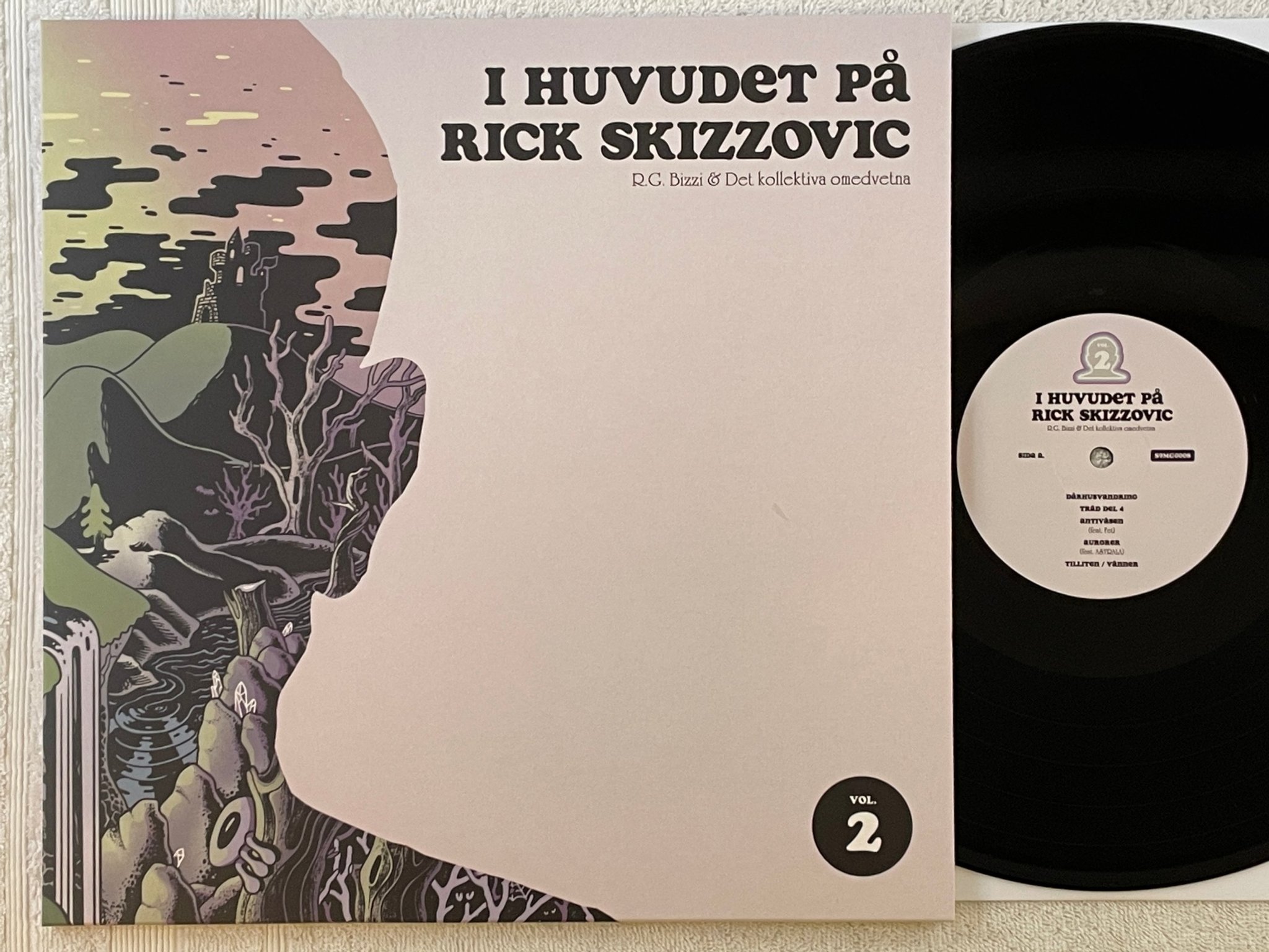 Omslagsbild för skivan R.G. BIZZI & Det Kollektiva Omedvetna – I Huvudet På Rick Skizzovic Vol. 2 LP S9