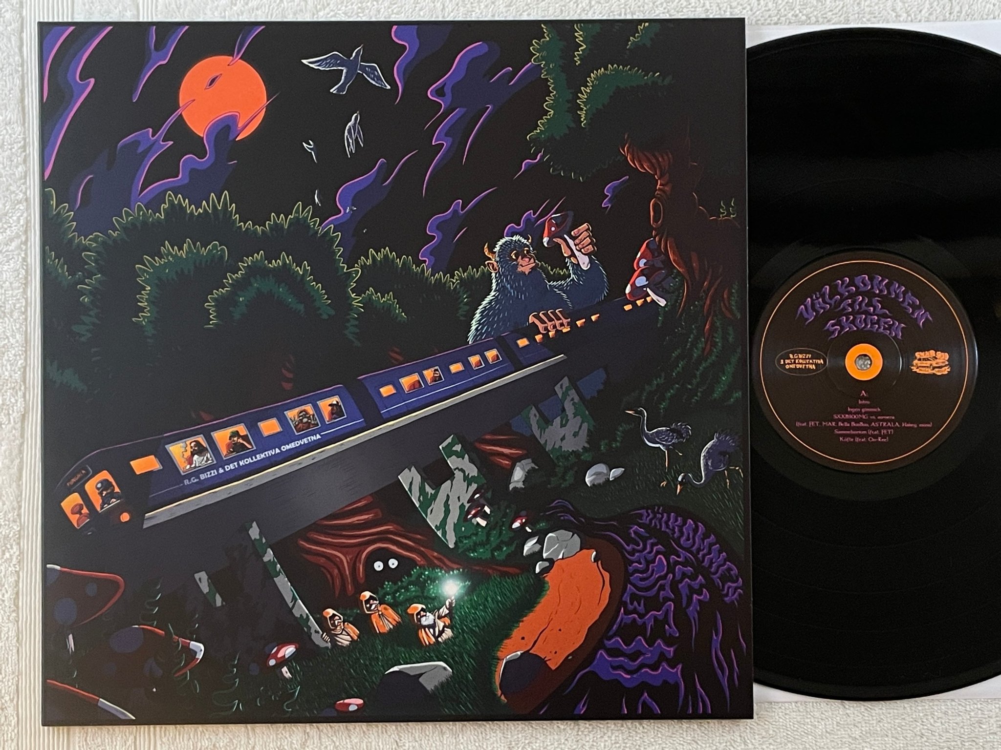 Omslagsbild för skivan R.G. BIZZI & Det Kollektiva Omedvetna – Välkommen Till Skogen LP S9MG0009