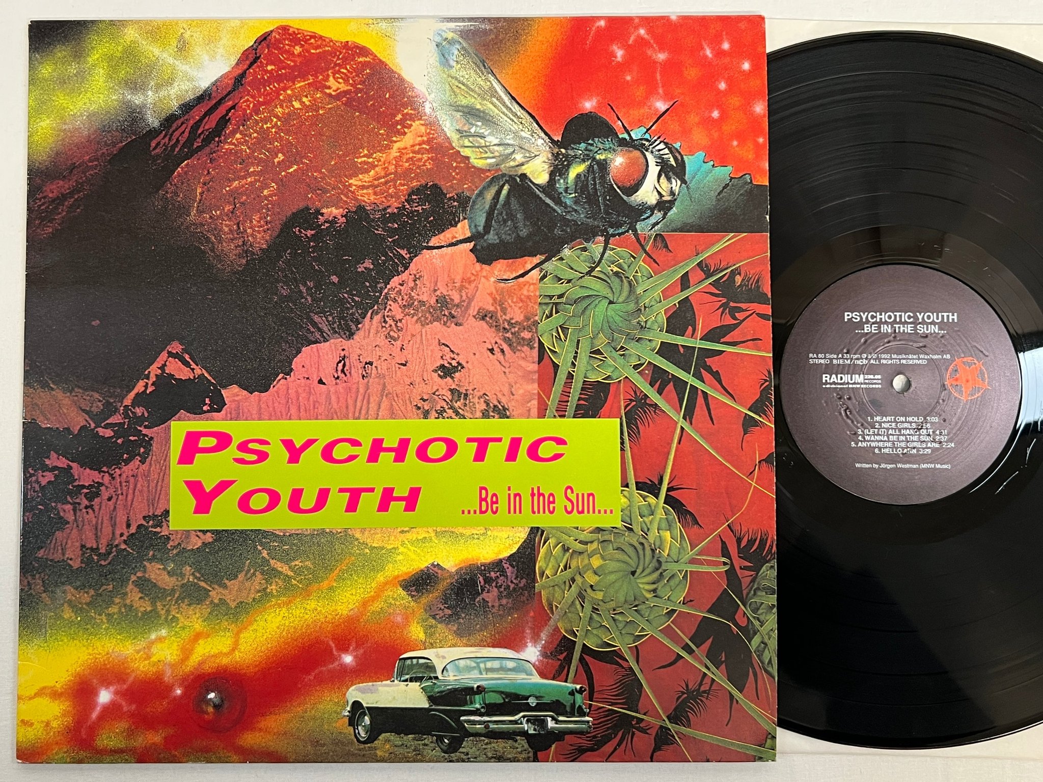 Omslagsbild för skivan PSYCHOTIC YOUTH ...be in the sun LP -92 Swe RADIUM 226.05 RA 80 power pop