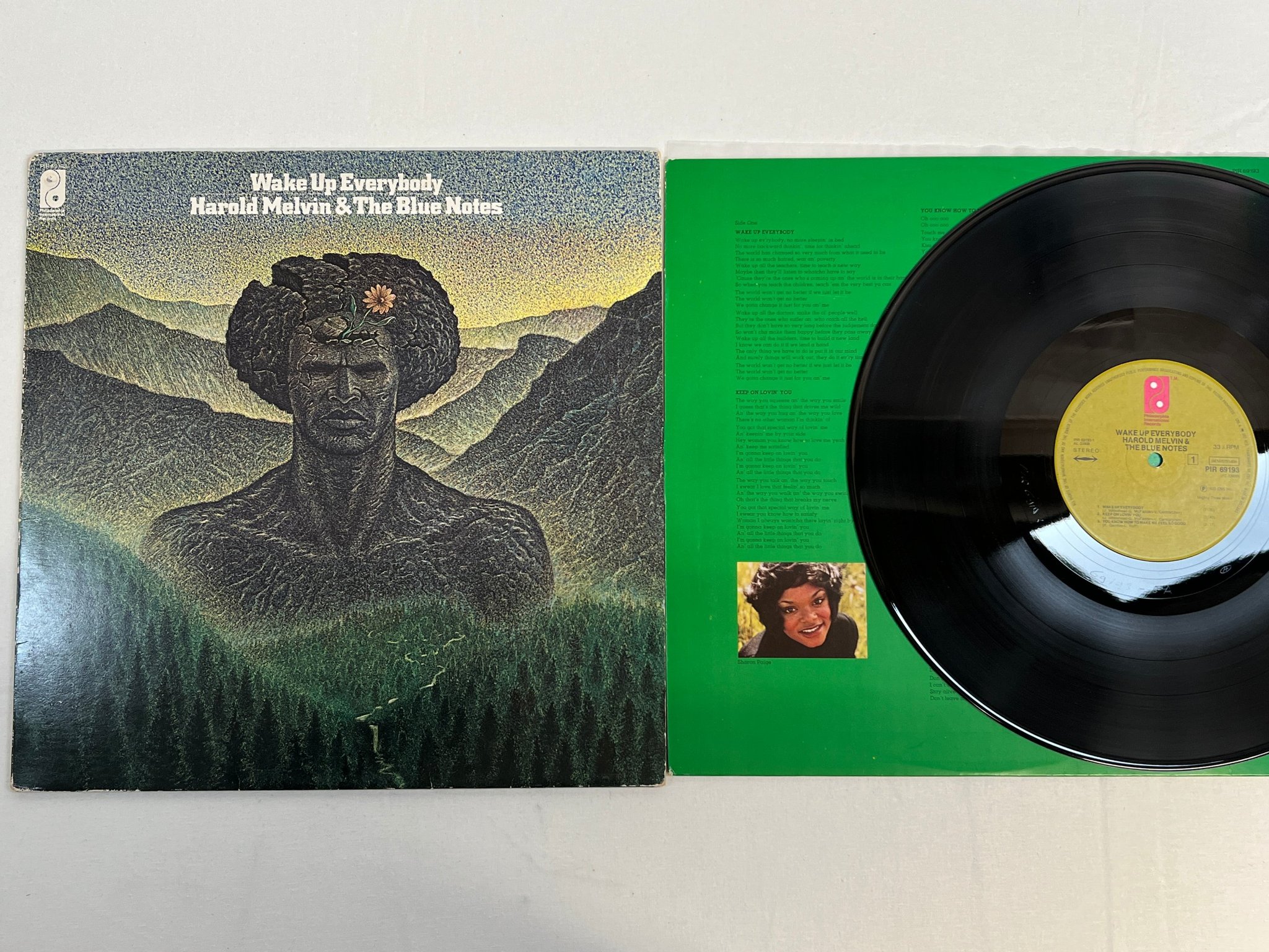Omslagsbild för skivan HAROLD MELVIN & THE BLUE NOTES wake up everybody LP -75 Hol PIR 69193