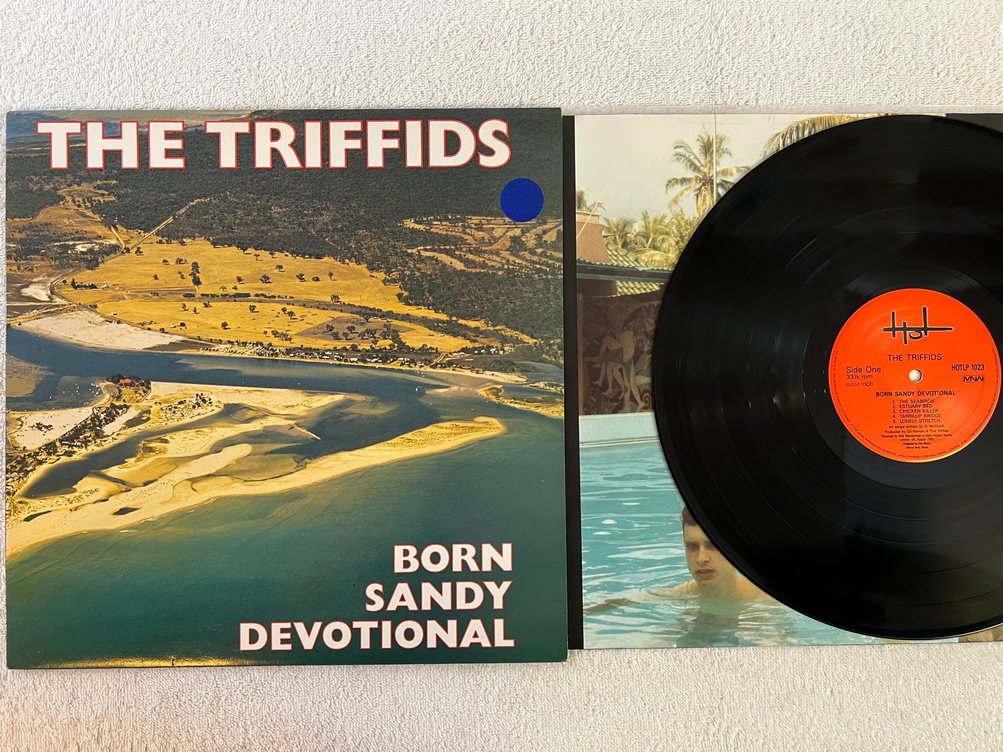 Omslagsbild för skivan THE TRIFFIDS born sandy devotional LP -86 ncb MNW HOTLP 1023
