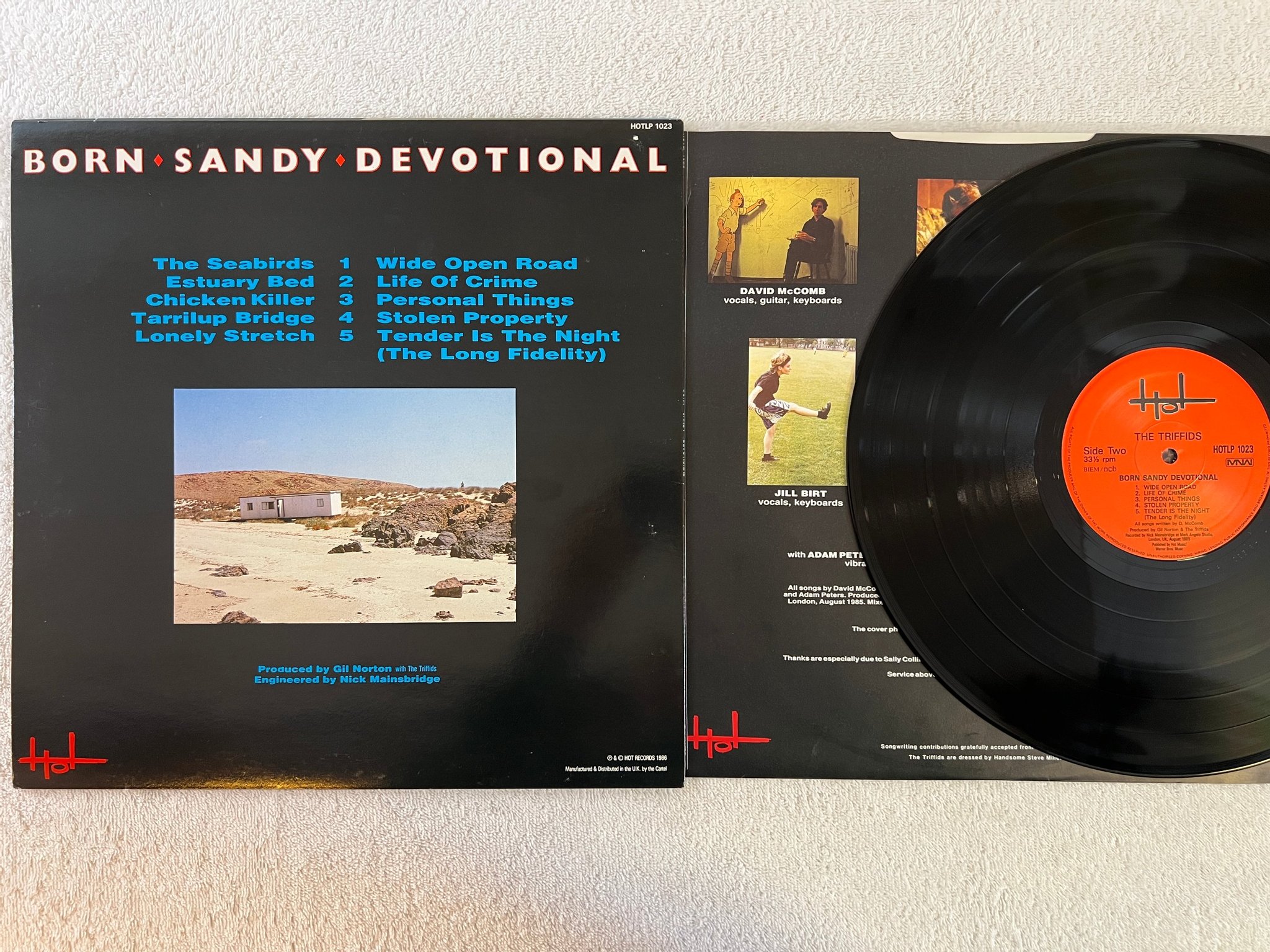 Omslagsbild för skivan THE TRIFFIDS born sandy devotional LP -86 ncb MNW HOTLP 1023