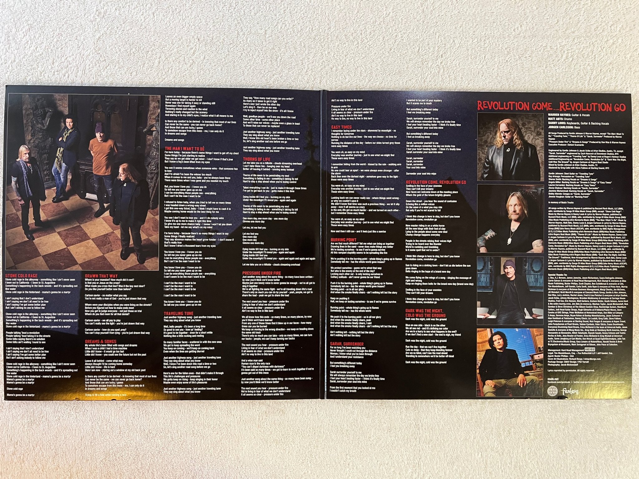 Omslagsbild för skivan  GOV'T MULE Revolution Come...Revolution Go 2xLP 2017 SOUTHERN ROCK 