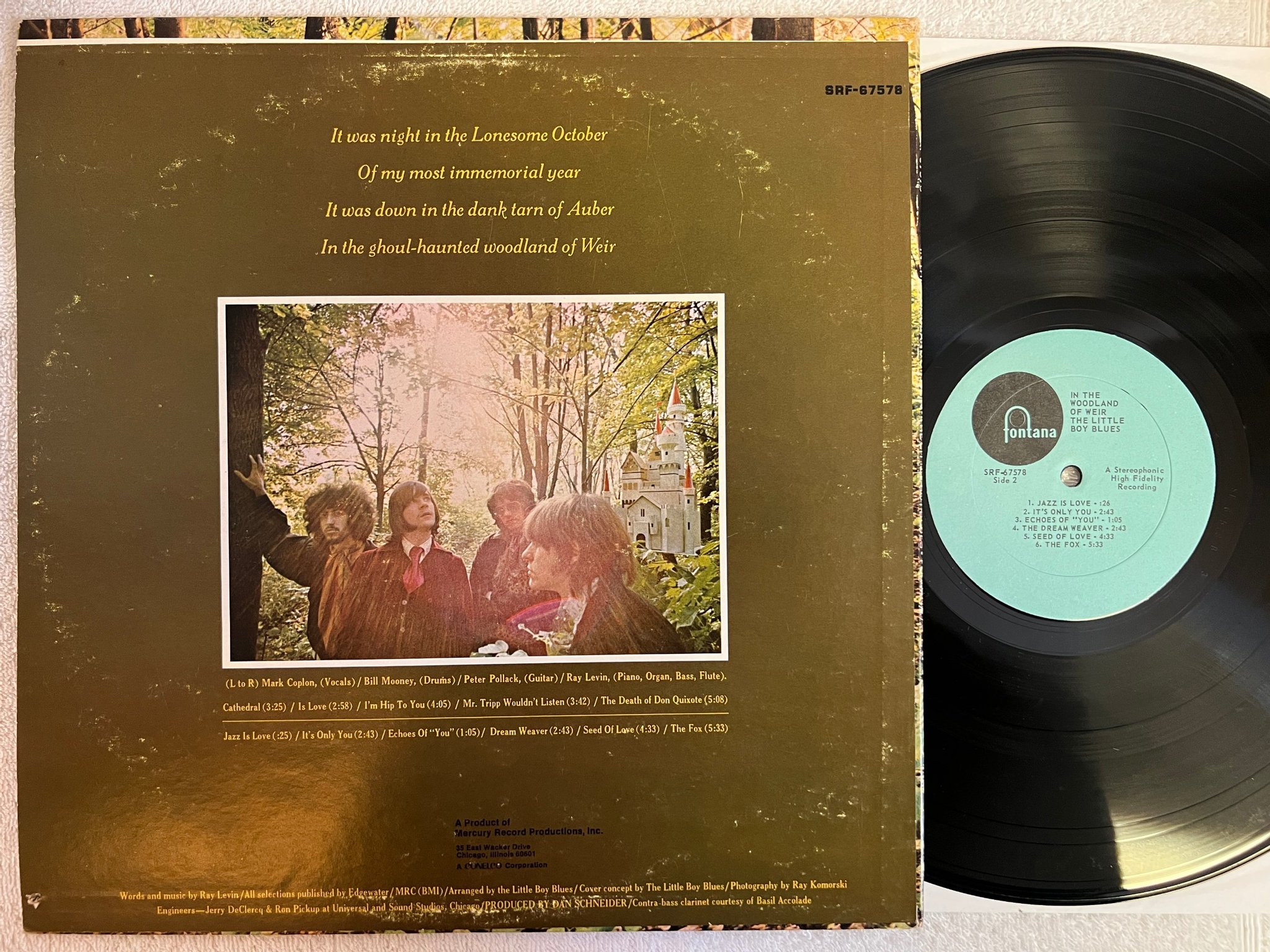 Omslagsbild för skivan IN THE WOODLAND OF WEIR the little boy blues LP -68 US FONTANA SRF 67578 psych