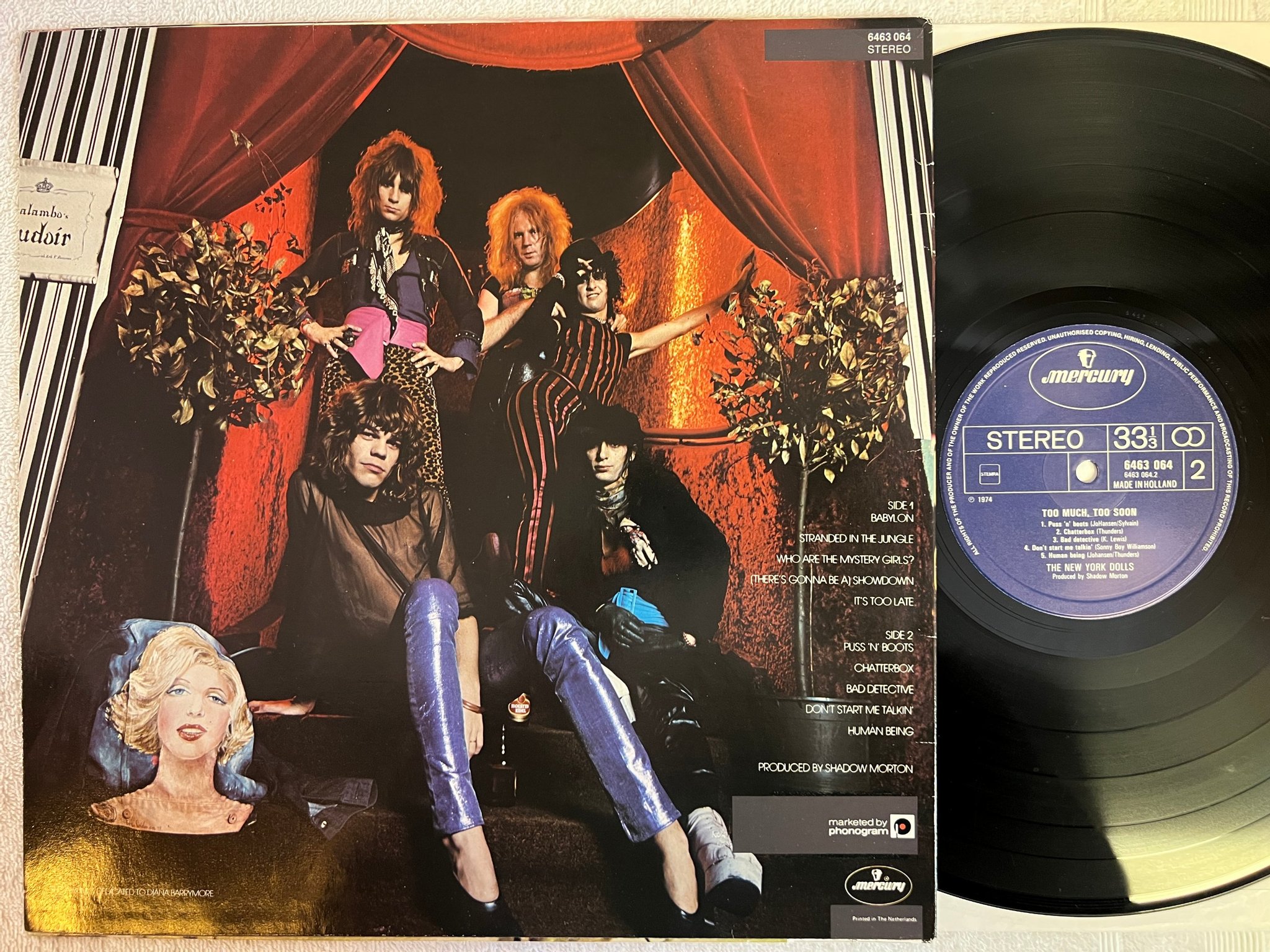 Omslagsbild för skivan NEW YORK DOLLS Too Much Too Soon LP -74 Hol MERCURY 6463064