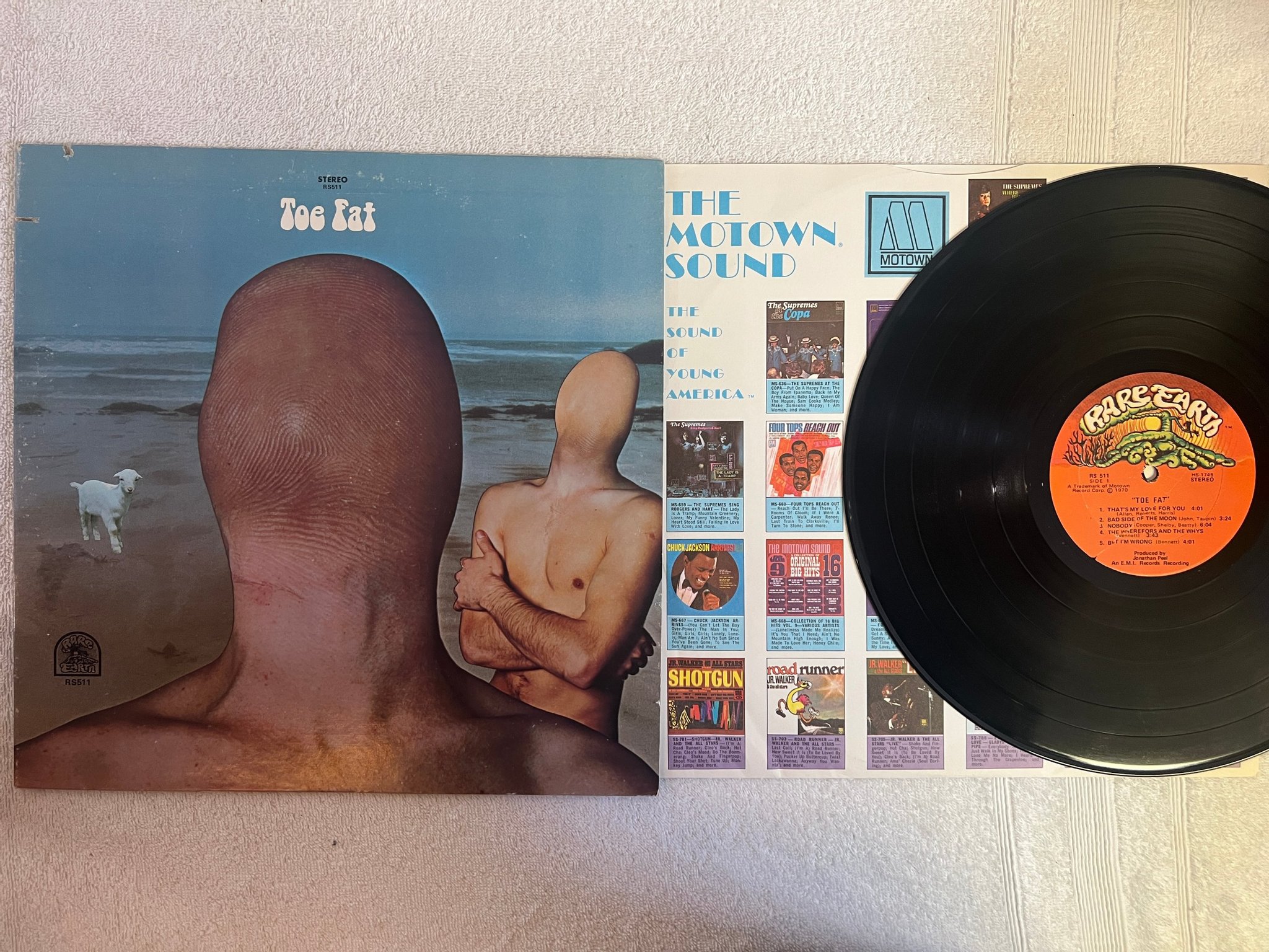 Omslagsbild för skivan TOE FAT s/t LP -70 US RARE EARTH RS511 