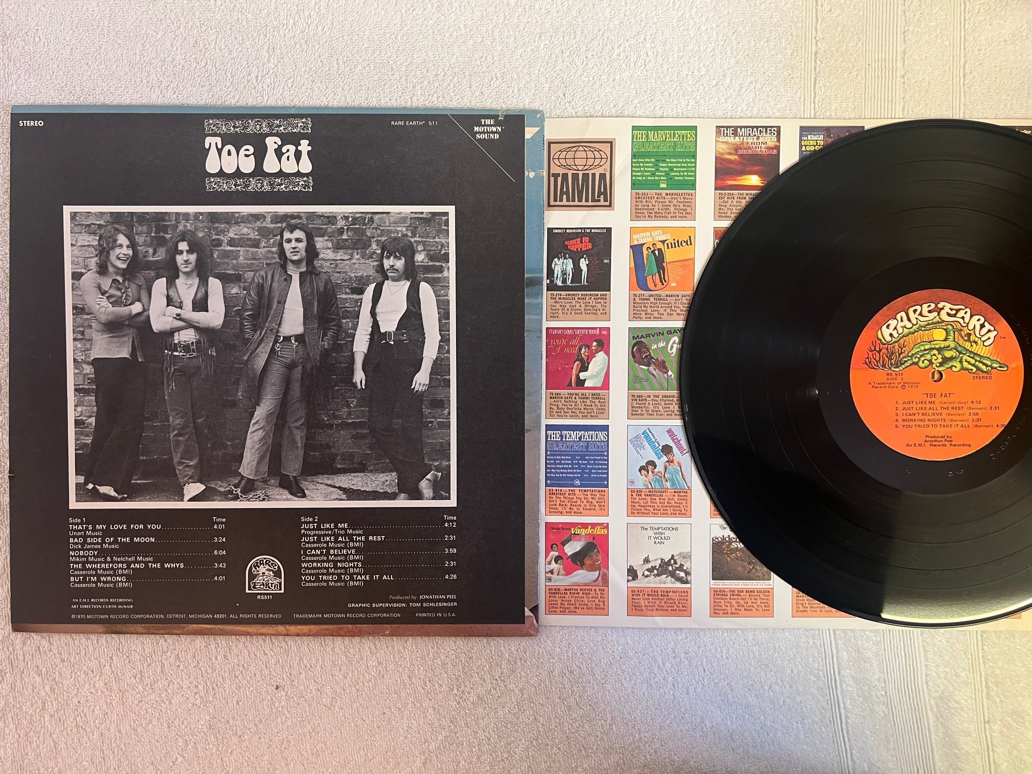 Omslagsbild för skivan TOE FAT s/t LP -70 US RARE EARTH RS511 