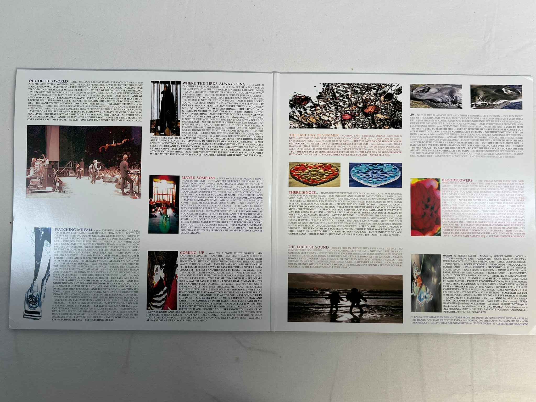 Omslagsbild för skivan THE CURE bloodflowers 2xLP 2020 Eu FICTION 602508479724 picture discs 