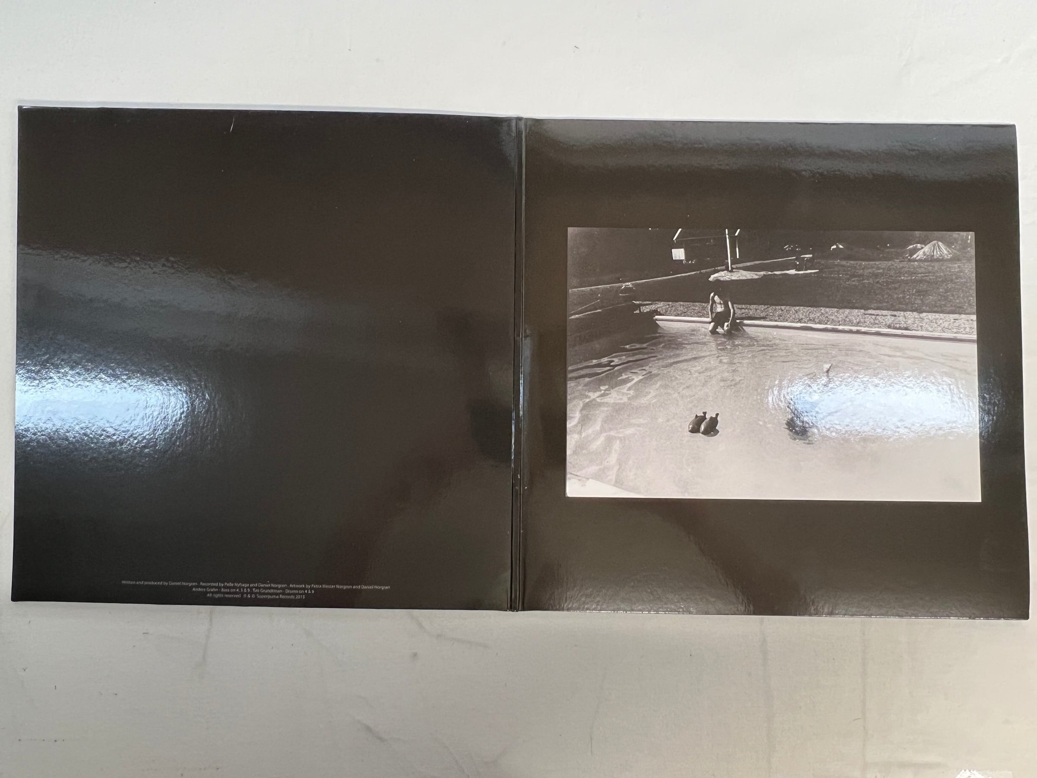 Omslagsbild för skivan DANIEL NORGREN the green stone LP 2015 SUPERPUMA SPRLP010 