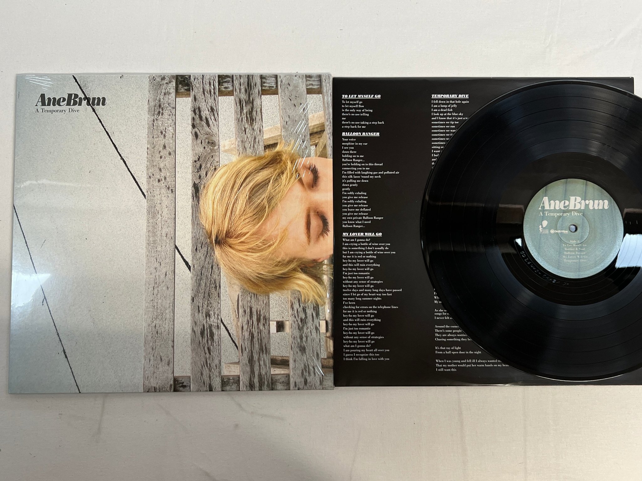 Omslagsbild för skivan ANE BRUN A Temporary Dive LP 2013 EU determine DEMVA03