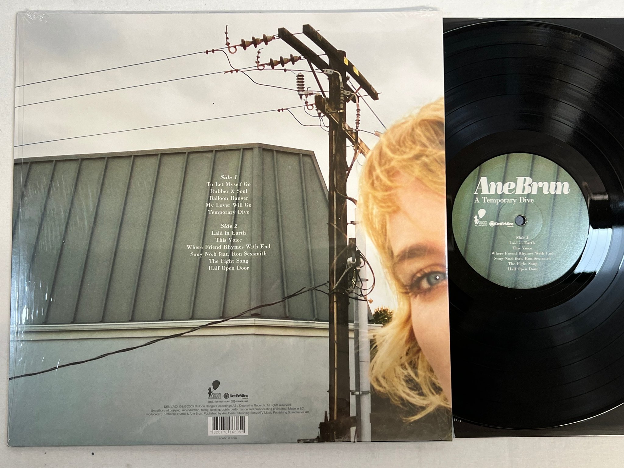 Omslagsbild för skivan ANE BRUN A Temporary Dive LP 2013 EU determine DEMVA03