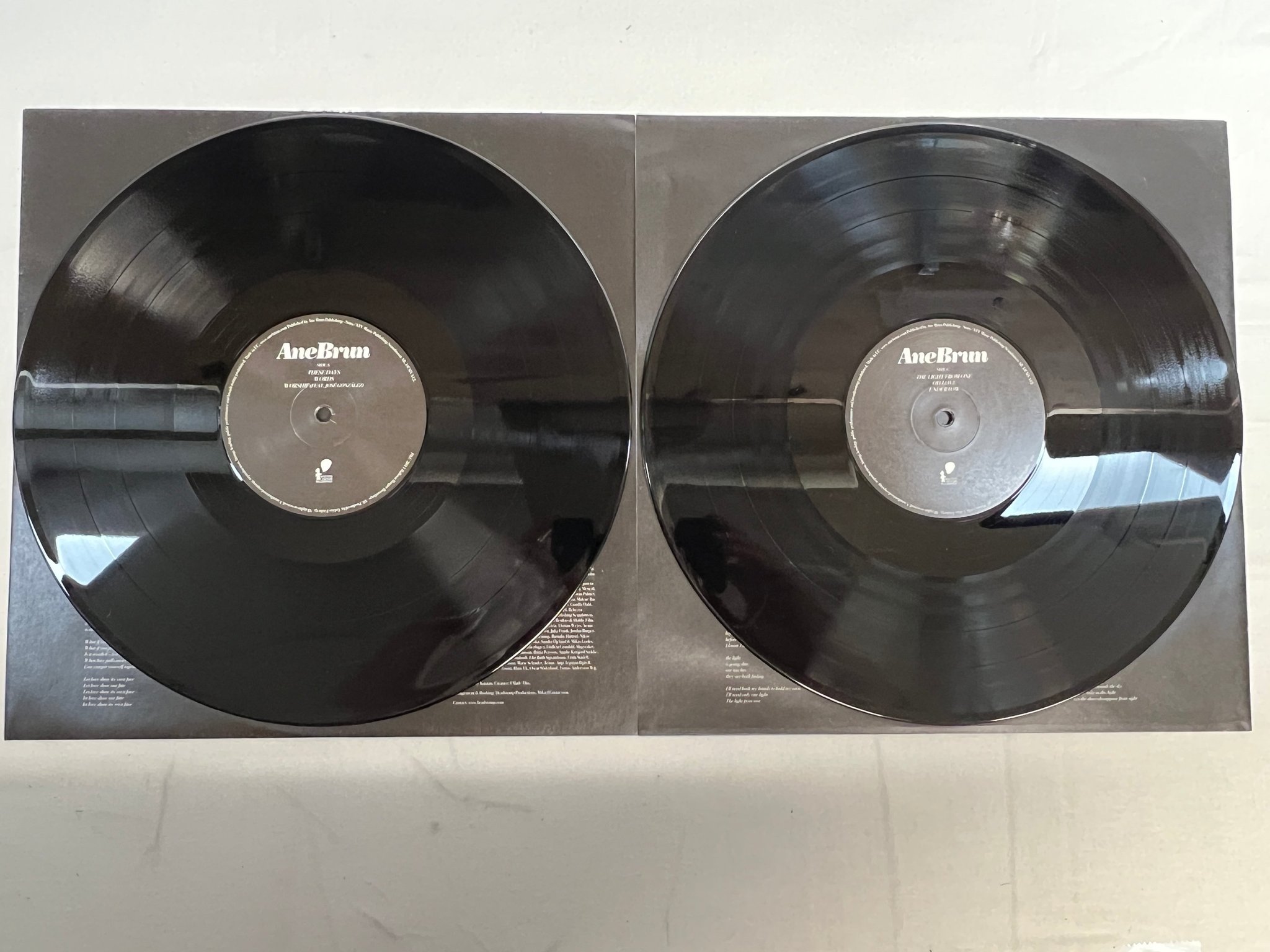 Omslagsbild för skivan ANE BRUN It All Starts With One 2xLP 2011 BALOON RANGER DEMV12