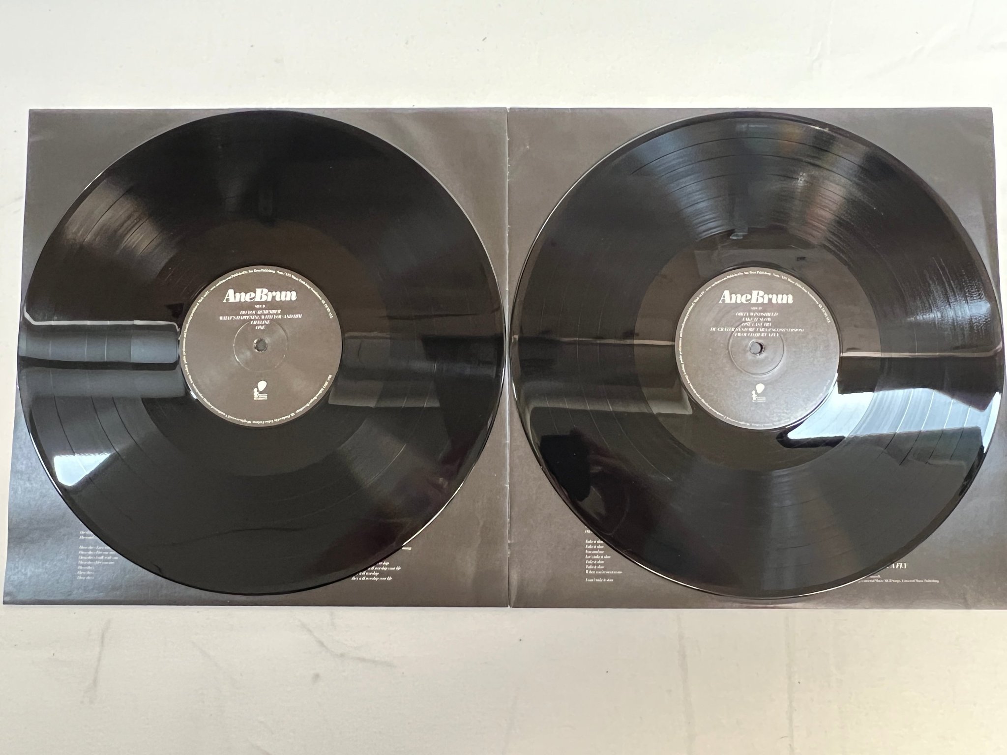 Omslagsbild för skivan ANE BRUN It All Starts With One 2xLP 2011 BALOON RANGER DEMV12