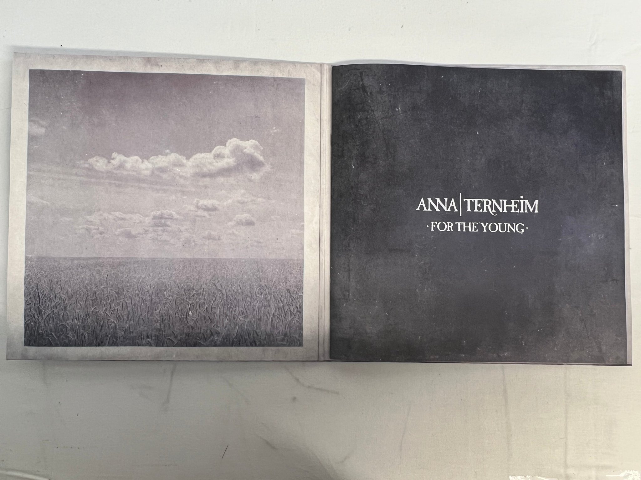 Omslagsbild för skivan ANNA TERNHEIM For The Young LP 2015 UNIVERSAL MUSIC 060254752634