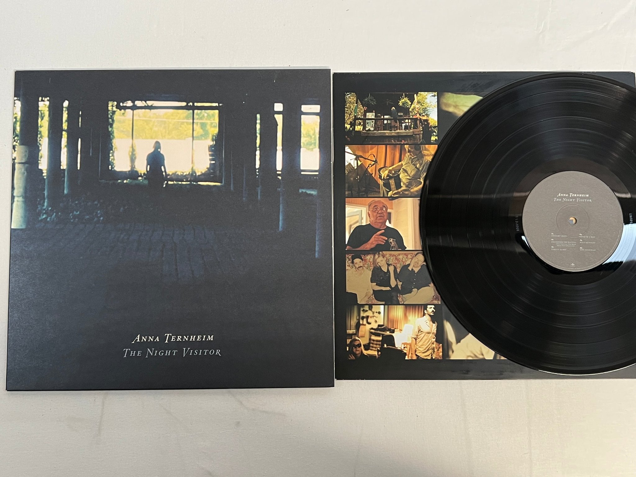 Omslagsbild för skivan ANNA TERNHEIM The Night Visitor LP 2011 UNIVERSAL 060252783226