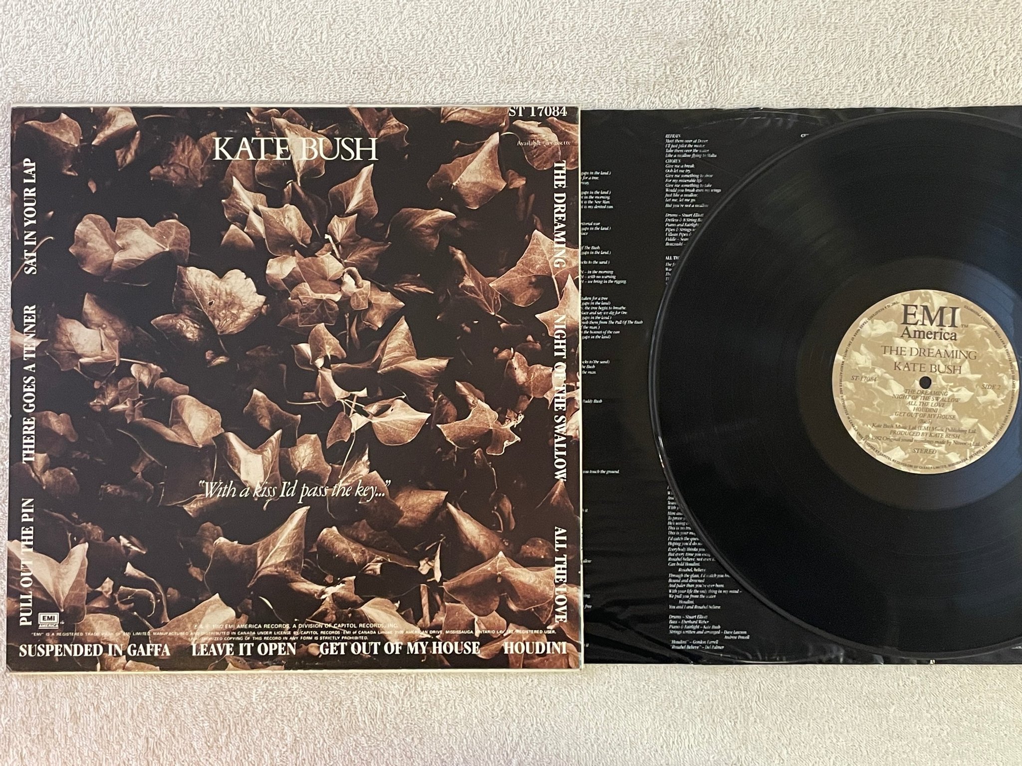 Omslagsbild för skivan KATE BUSH the dreaming LP -82 Can EMI AMERICA ST-17084