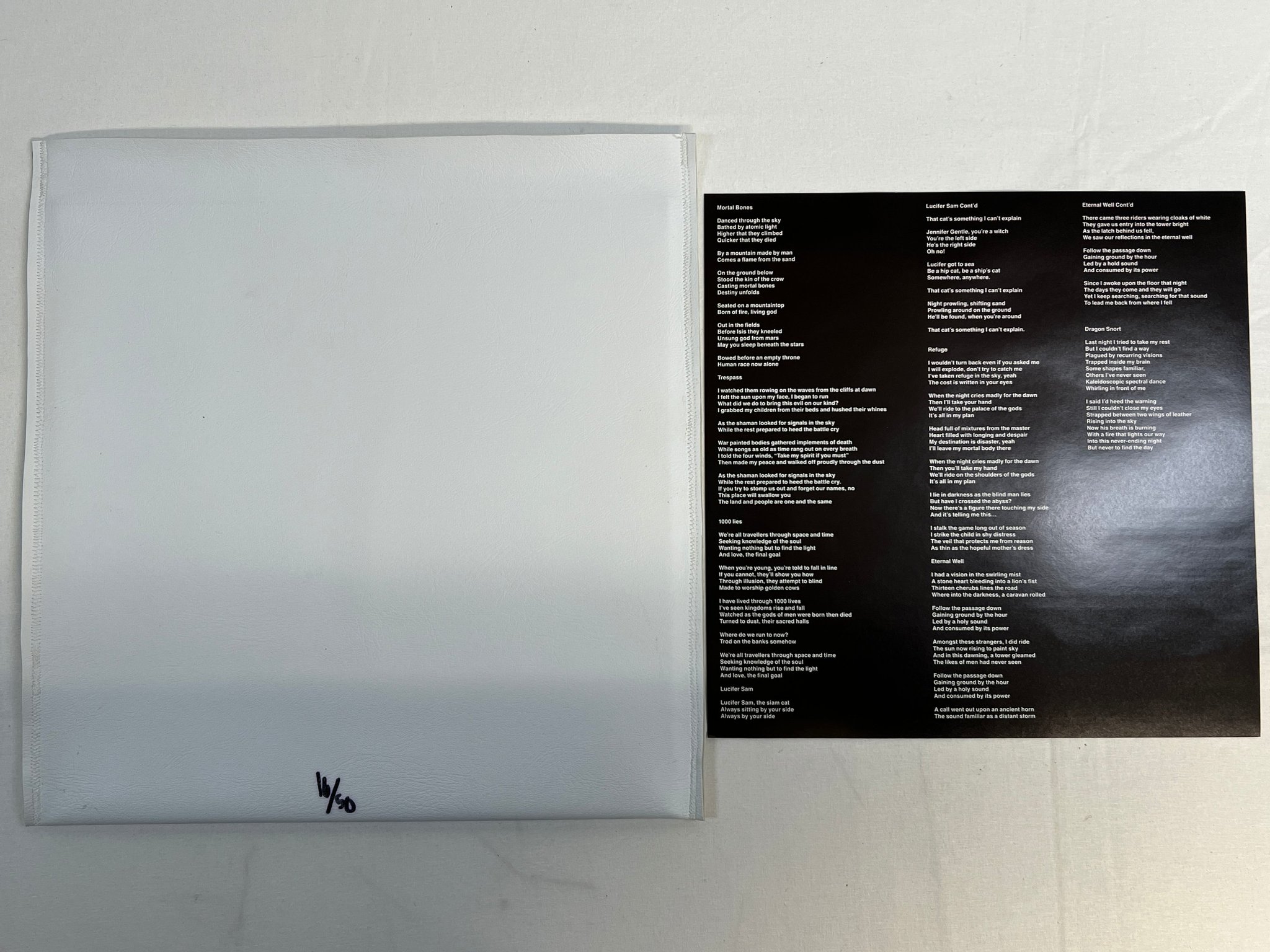 Omslagsbild för skivan THE WELL samsara LP 2014 US numbered TEST PRESS ** MEGA RARE DOOM METAL **