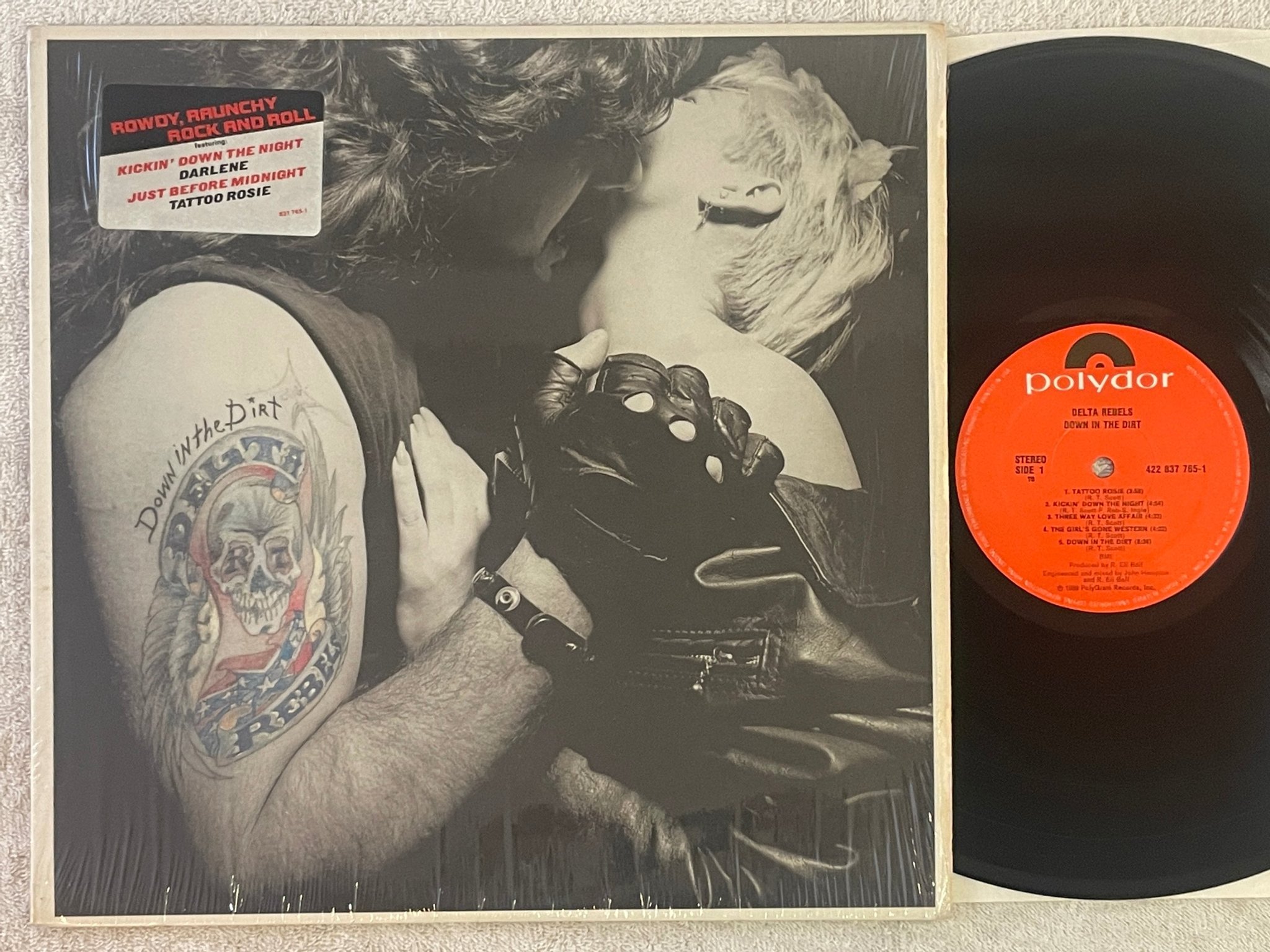 Omslagsbild för skivan DELTA REBELS Down In The Dirt LP -89 US POLYDOR 837 764-1