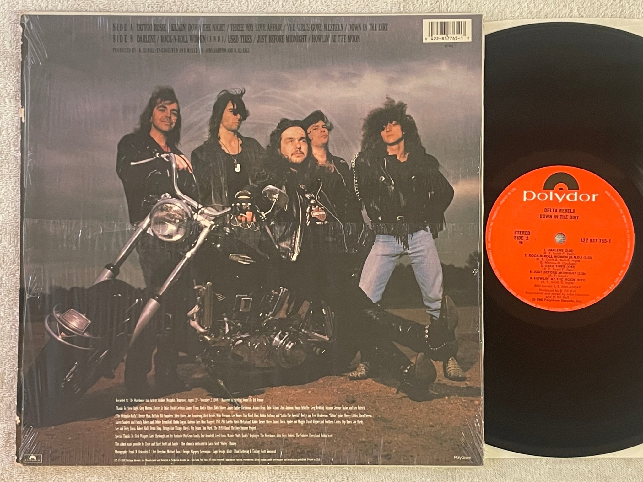 Omslagsbild för skivan DELTA REBELS Down In The Dirt LP -89 US POLYDOR 837 764-1