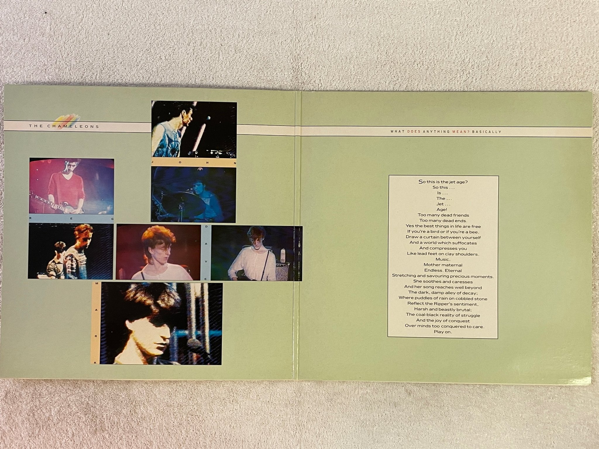 Omslagsbild för skivan THE CHAMELEONS What Does Anything Mean? Basically LP -85 Swe STATIK STAT LP 22 