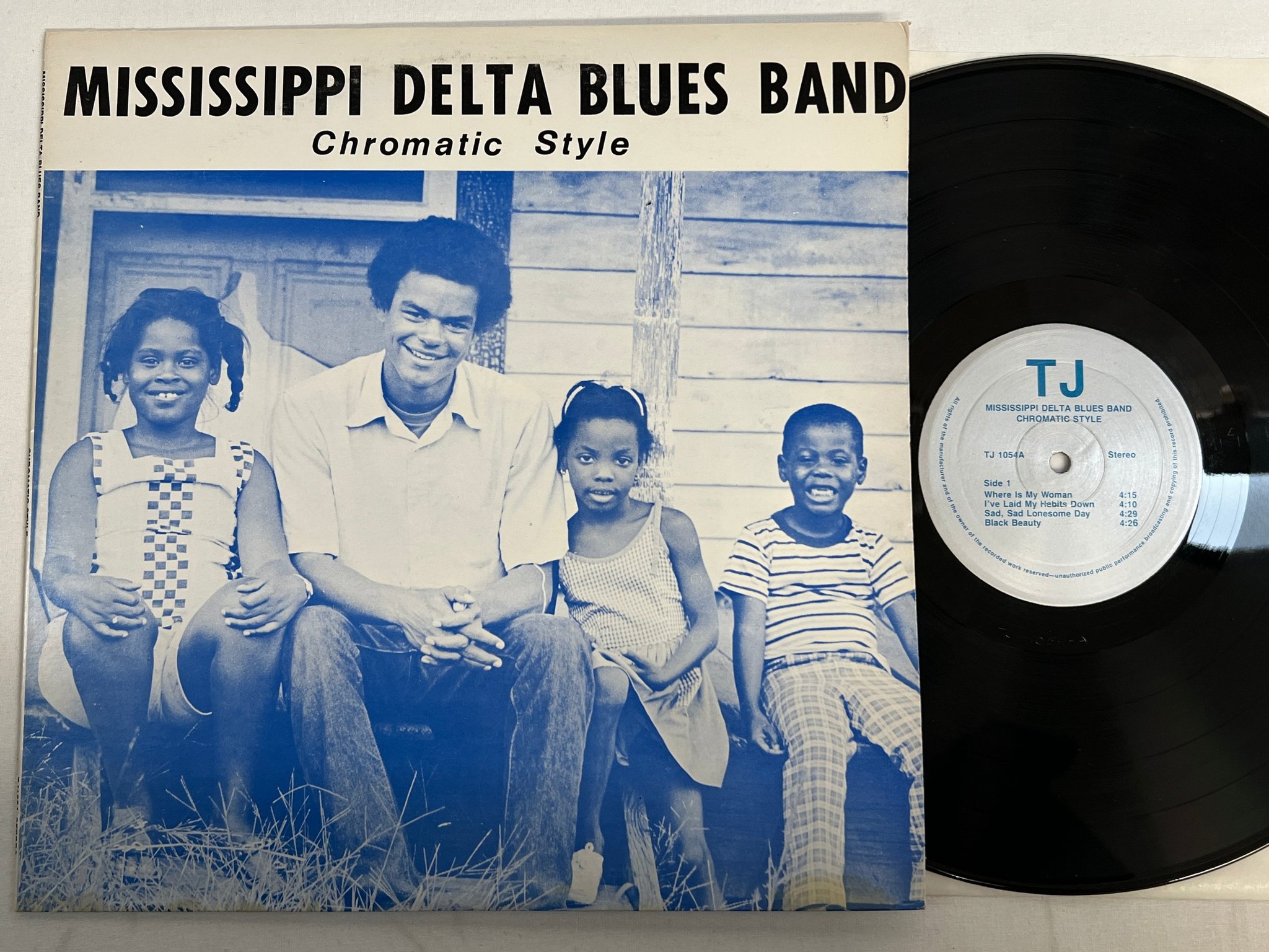 Omslagsbild för skivan MISSISSIPPI DELTA BLUES BAND chromatic style LP -86 US TJ RECORDS TJ1054 