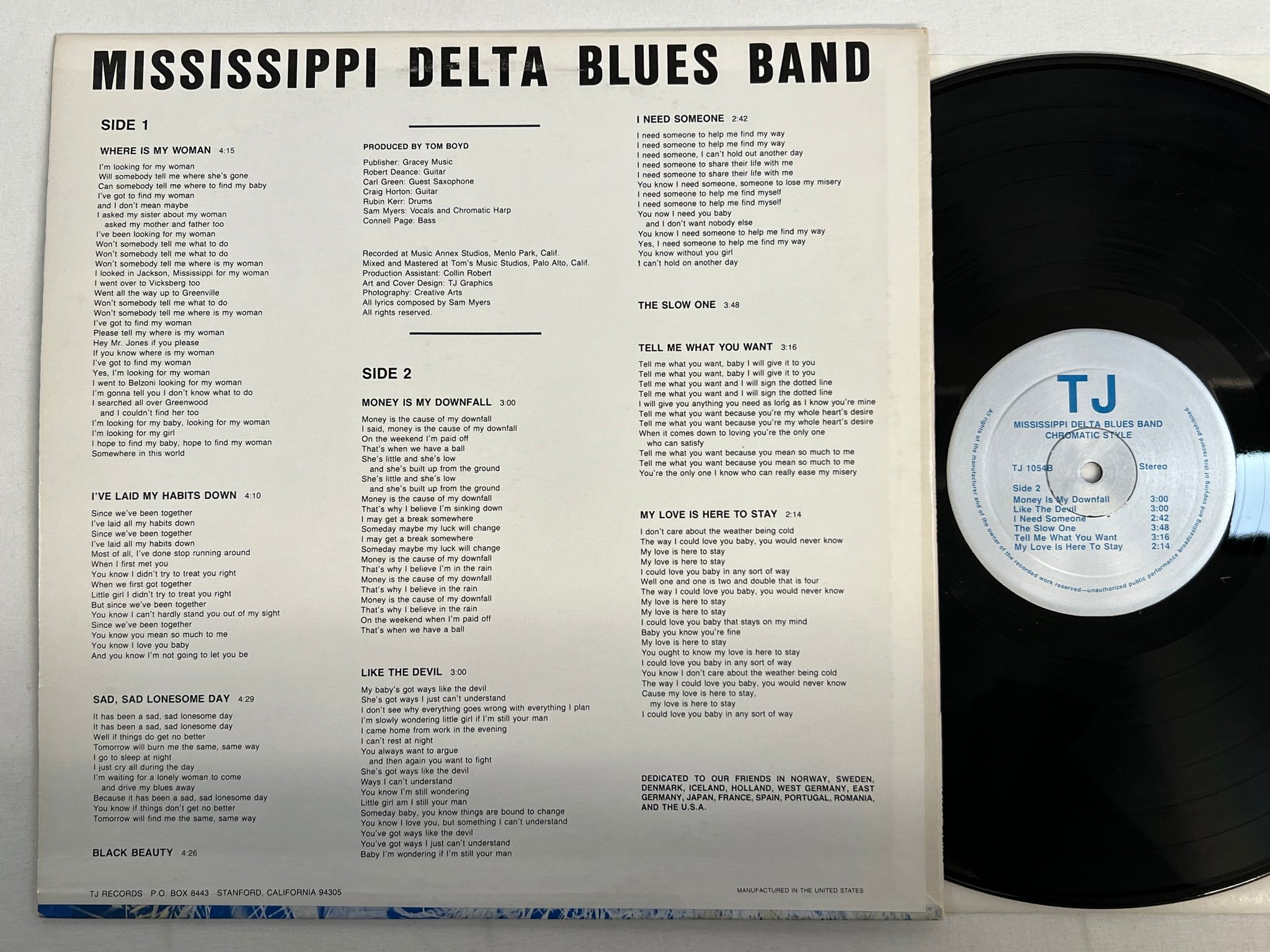 Omslagsbild för skivan MISSISSIPPI DELTA BLUES BAND chromatic style LP -86 US TJ RECORDS TJ1054 