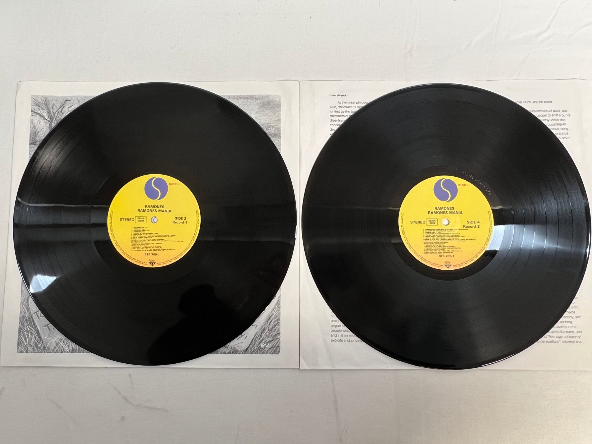 Omslagsbild för skivan RAMONES Ramones Mania 2xLP -88 EU SIRE 925 709-1