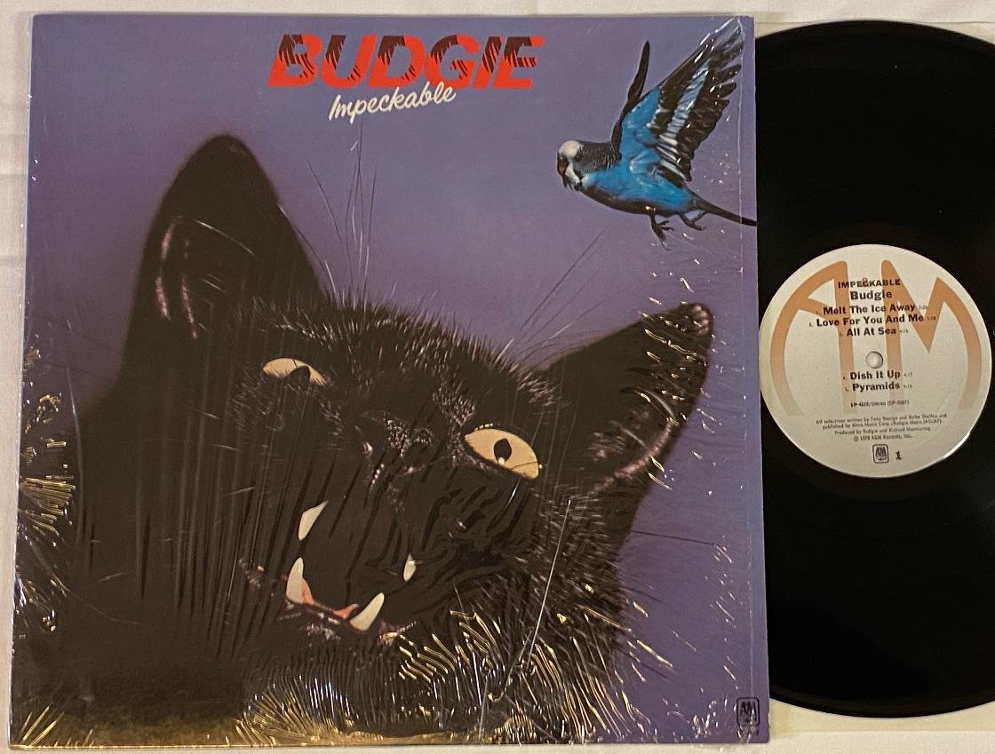 Omslagsbild för skivan BUDGIE impeckable LP 78 US A&M SP 4675