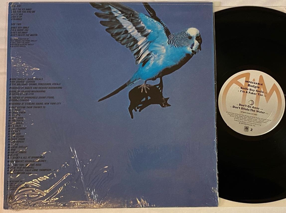 Omslagsbild för skivan BUDGIE impeckable LP 78 US A&M SP 4675