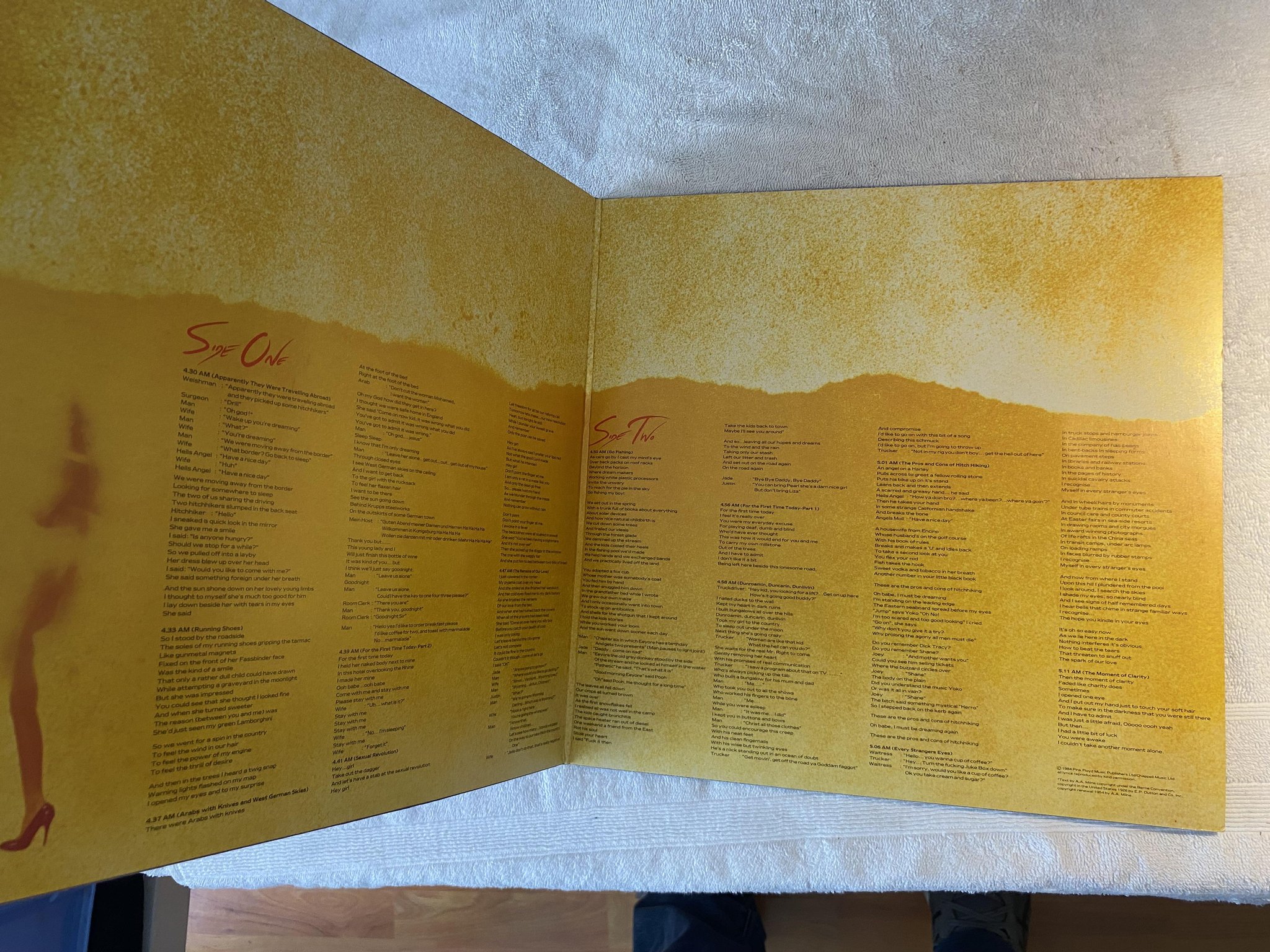 Omslagsbild för skivan ROGER WALLIS the pros and cons of hitch hiking LP -84 EEC HARVEST 064 2401051