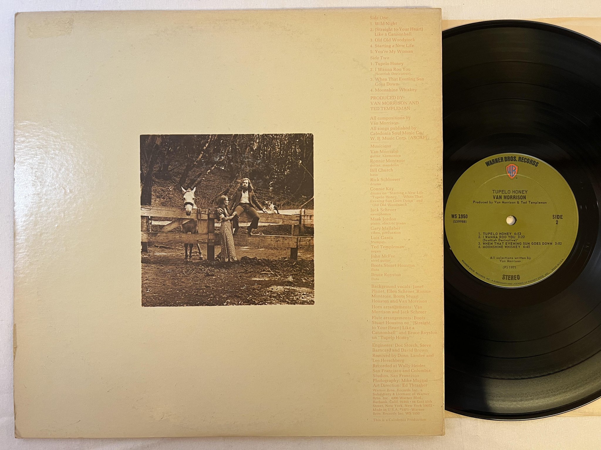 Omslagsbild för skivan VAN MORRISON tupelo honey LP -71 US WARNER BROS WS 1950