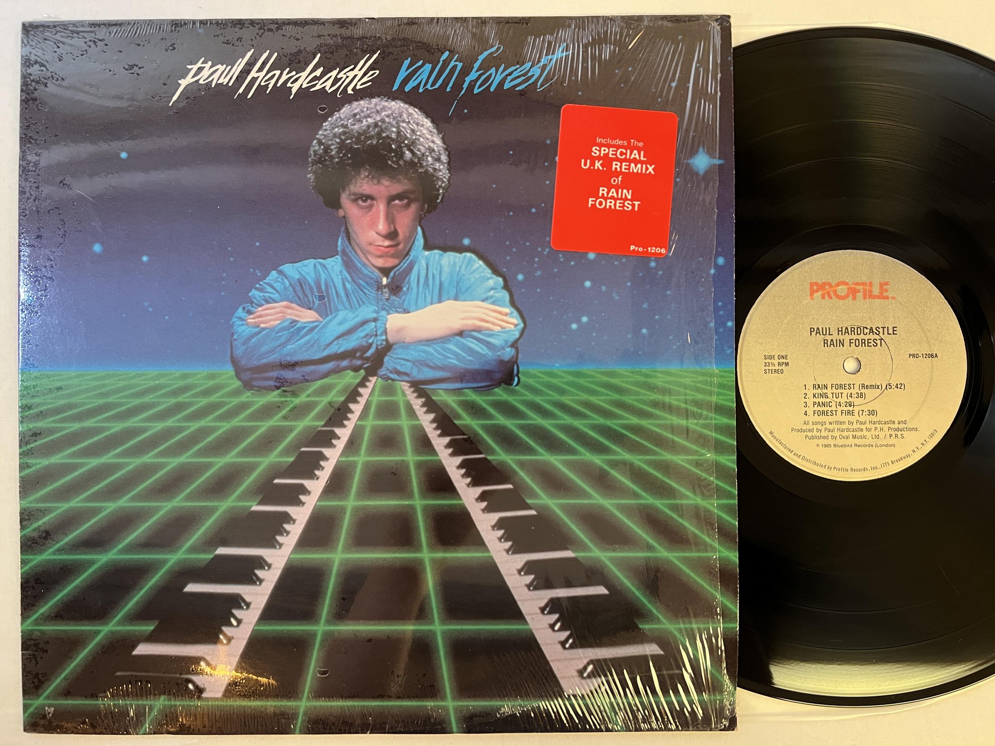 Omslagsbild för skivan PAUL HARDCASTLE rain forest LP -85 US PROFILE PRO-1206 ELECTRO