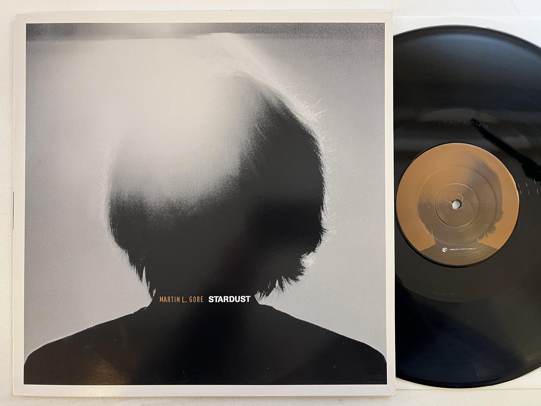 Omslagsbild för skivan MARTIN L. GORE stardust 12" 2003 EU MUTE 12MUTE296