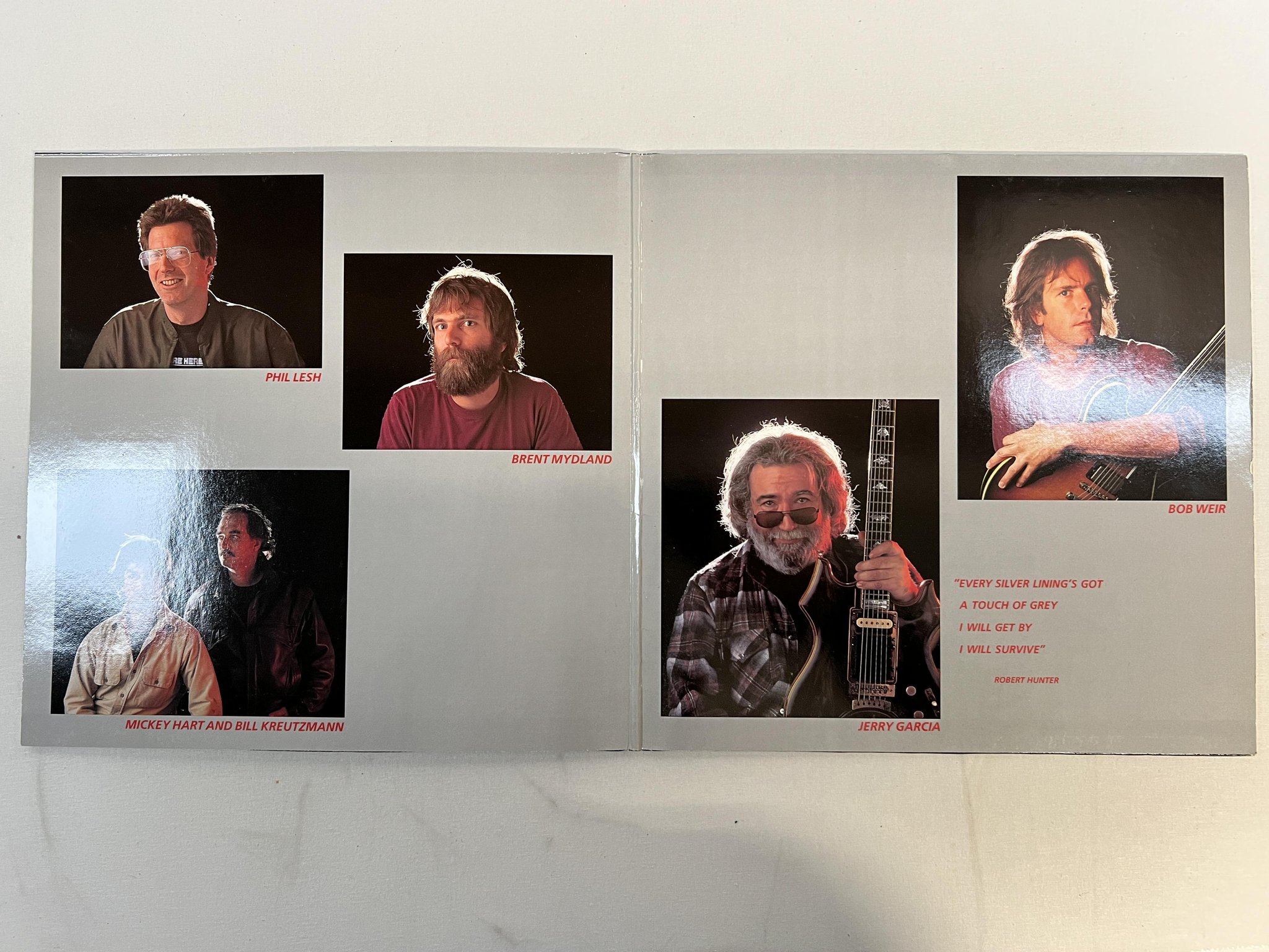 Omslagsbild för skivan GRATEFUL DEAD in the dark LP -87 ARISTA 208 564