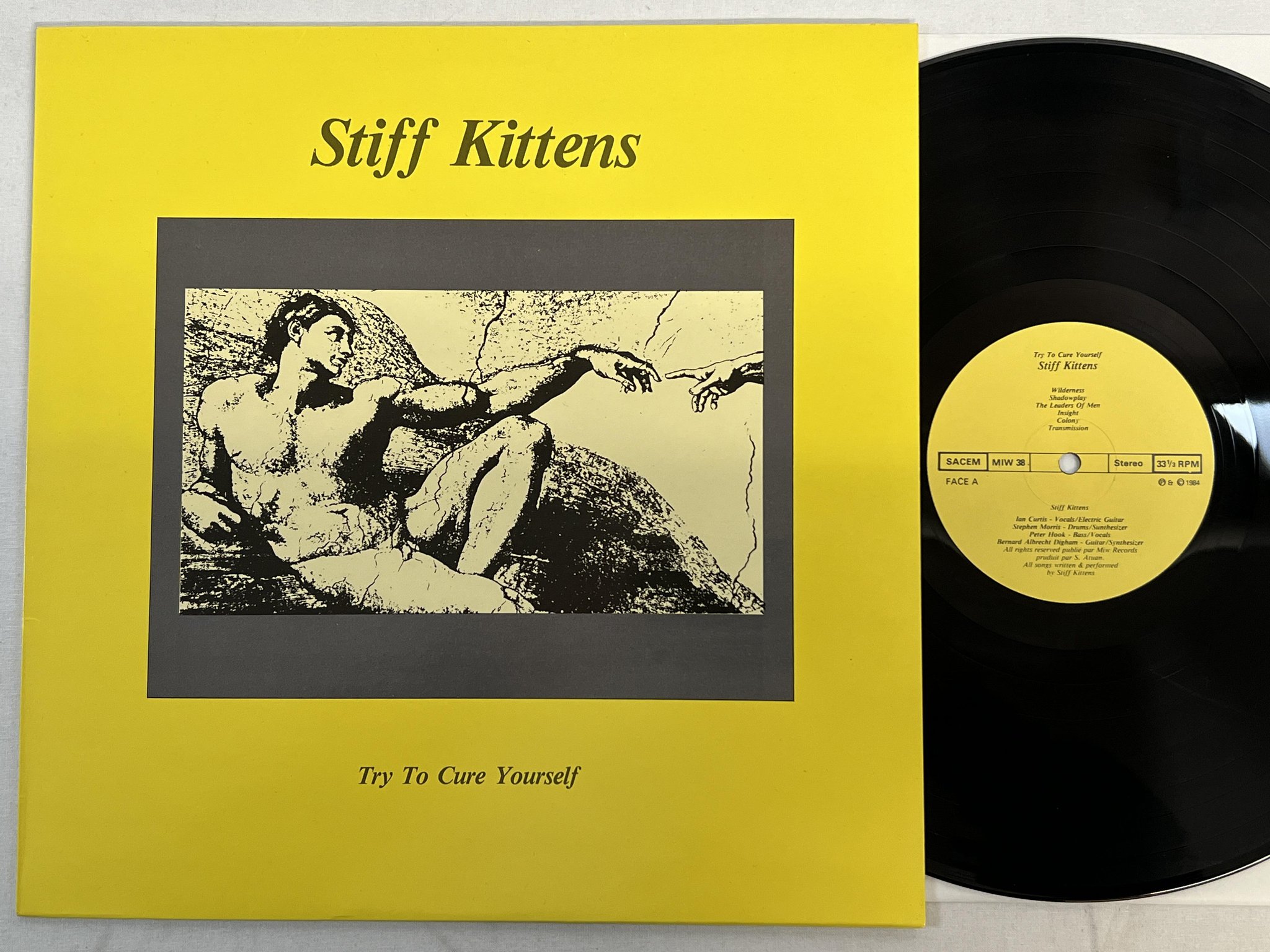 Omslagsbild för skivan STIFF KITTENS Try To Cure Yourself LP -84 MW 38 new wave