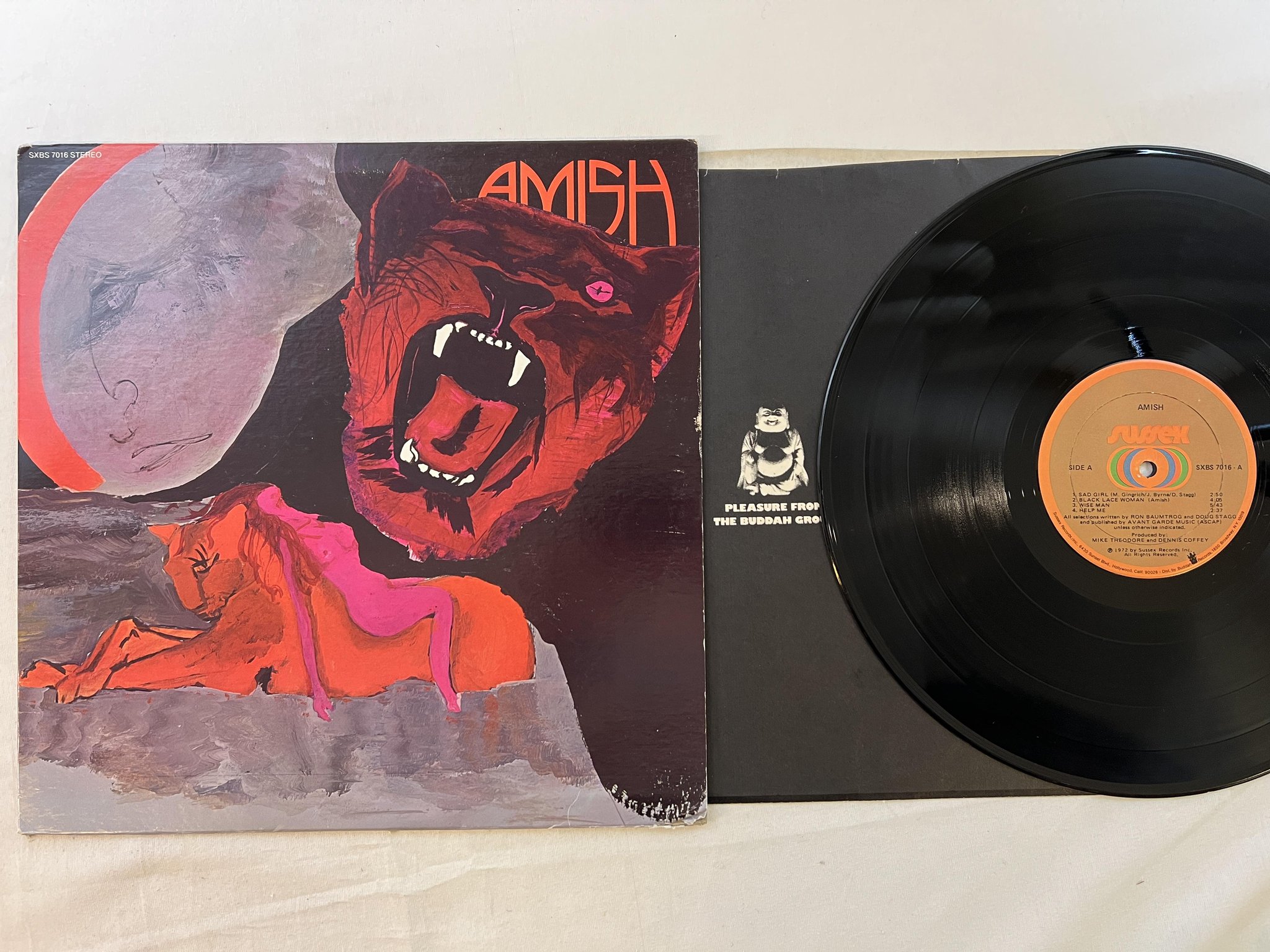 Omslagsbild för skivan AMISH s/t LP -72 US SUSSEX SXBS 7016