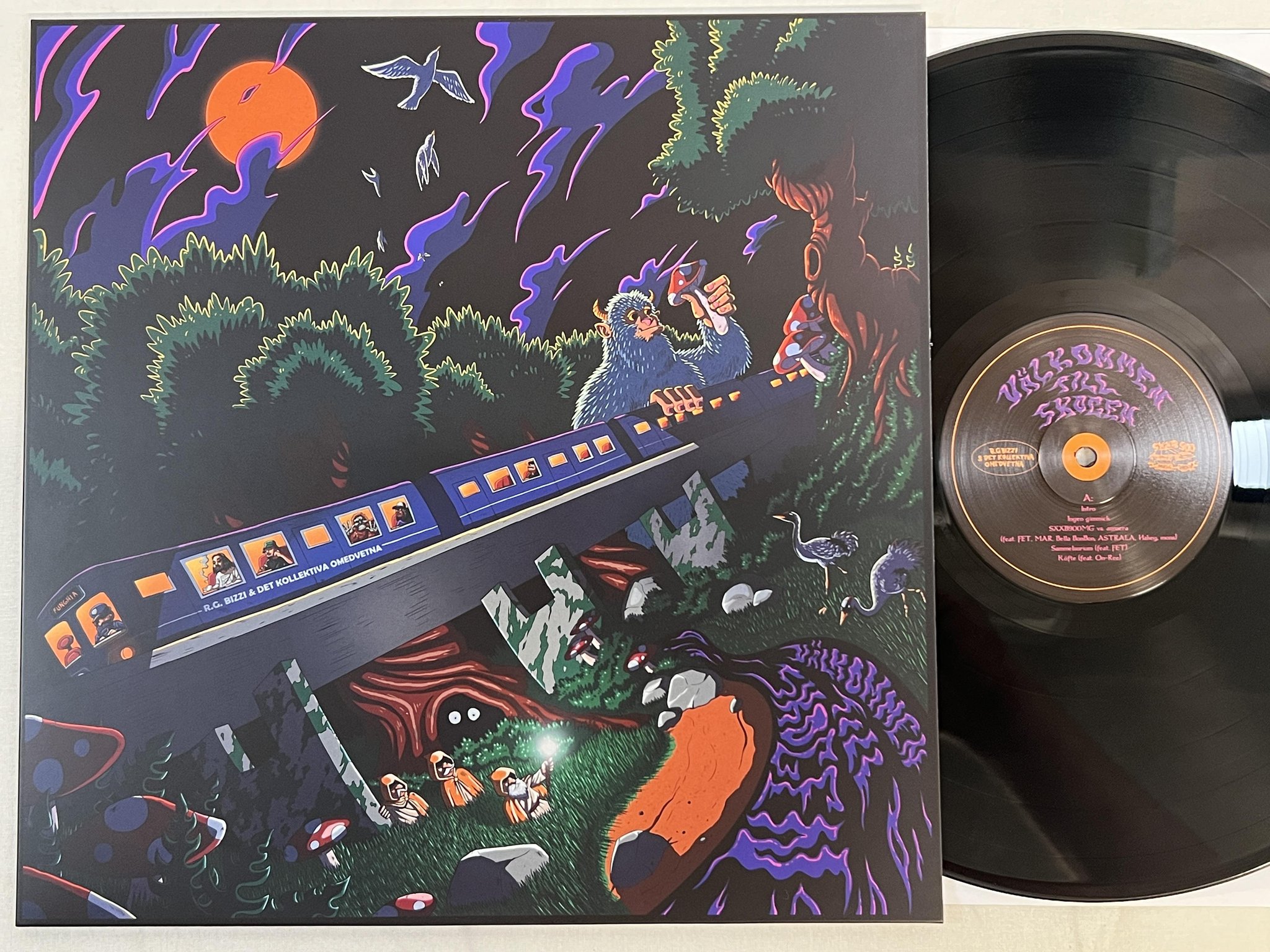 Omslagsbild för skivan RG Bizzi & Det Kollektiva Omedvetna Välkommen Till Skogen LP S9MG0009